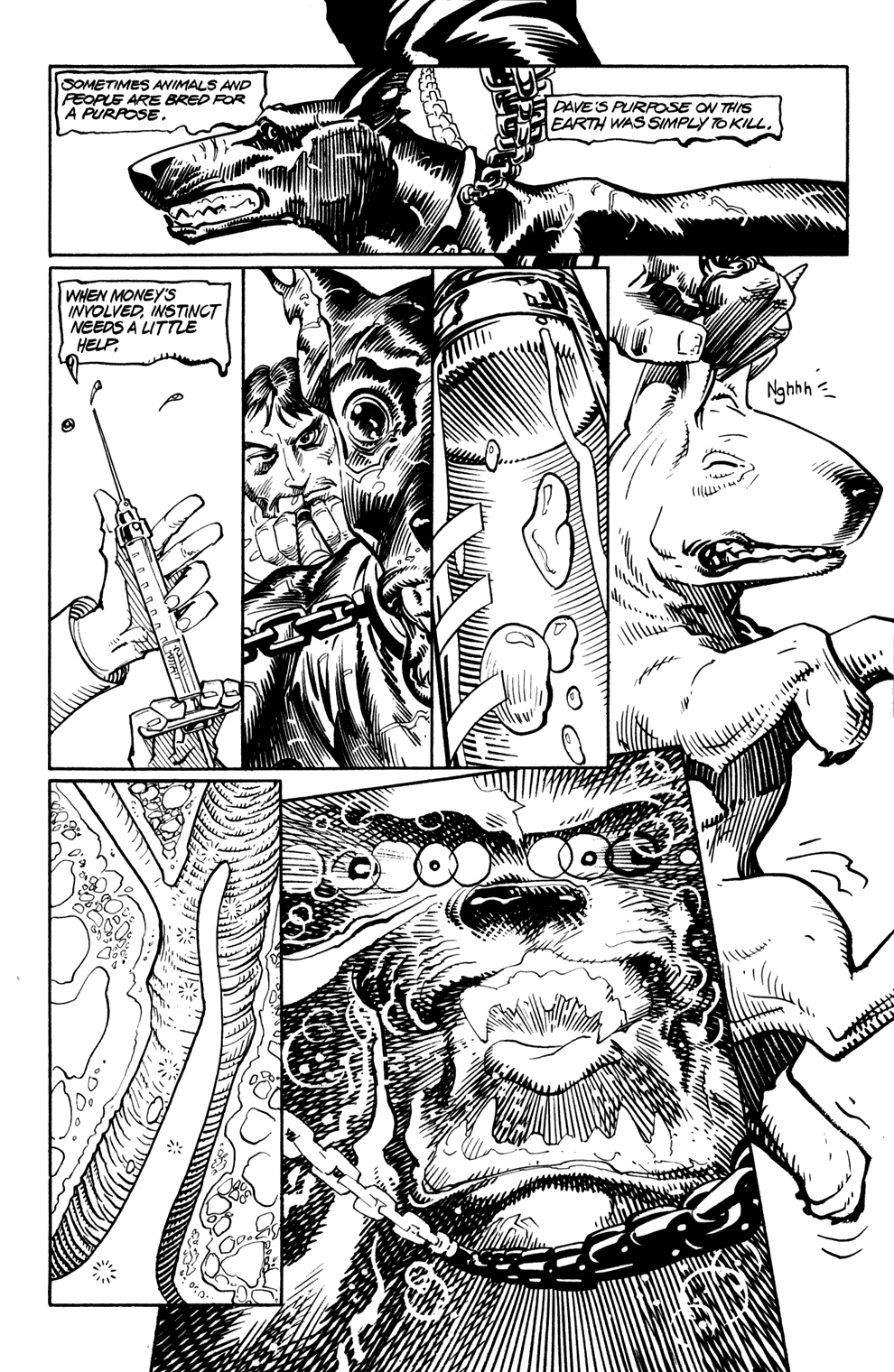 Dark Horse Presents (1986) Issue #113 #118 - English 9
