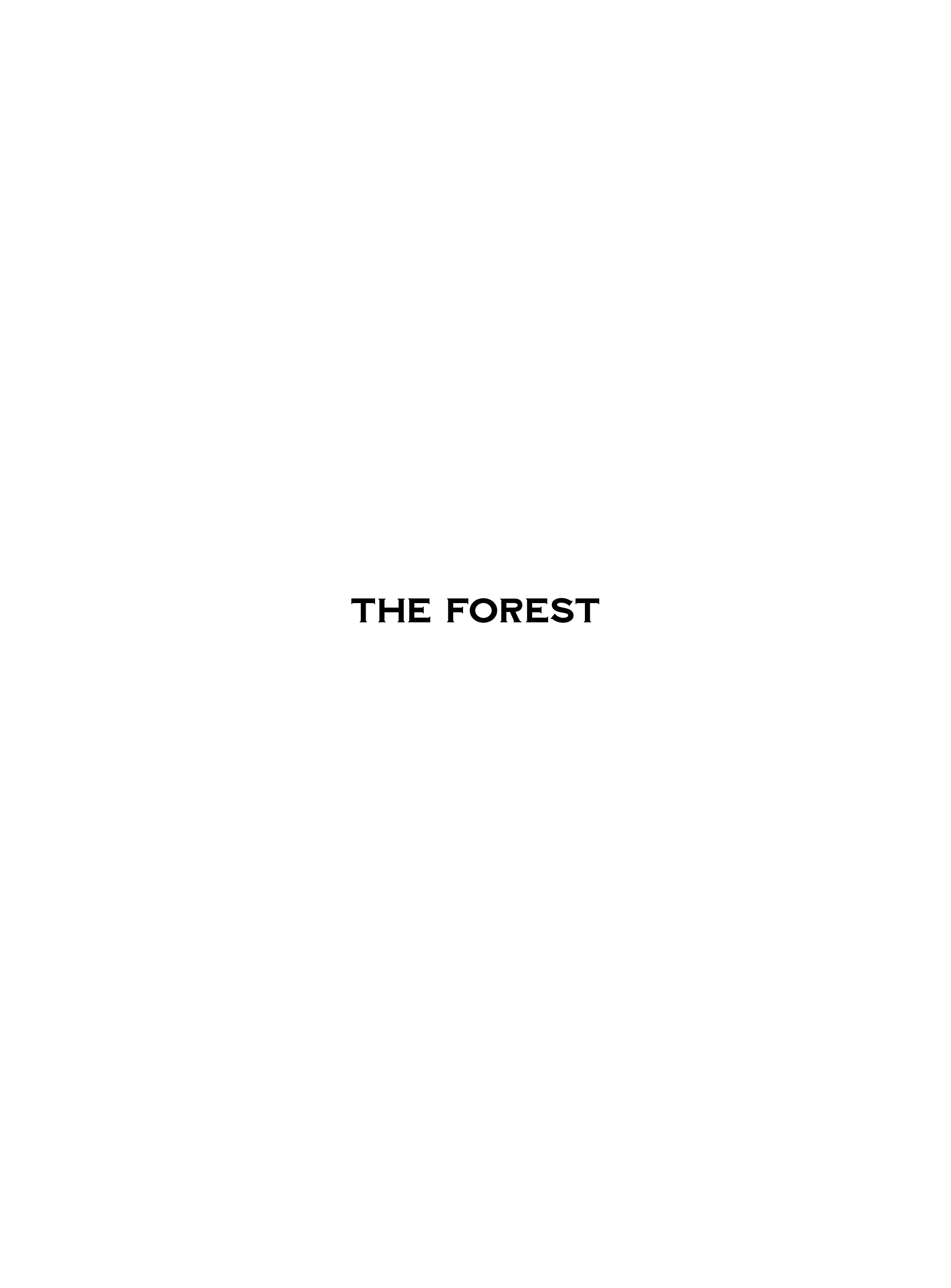 Read online The Forest comic -  Issue # Full - 2
