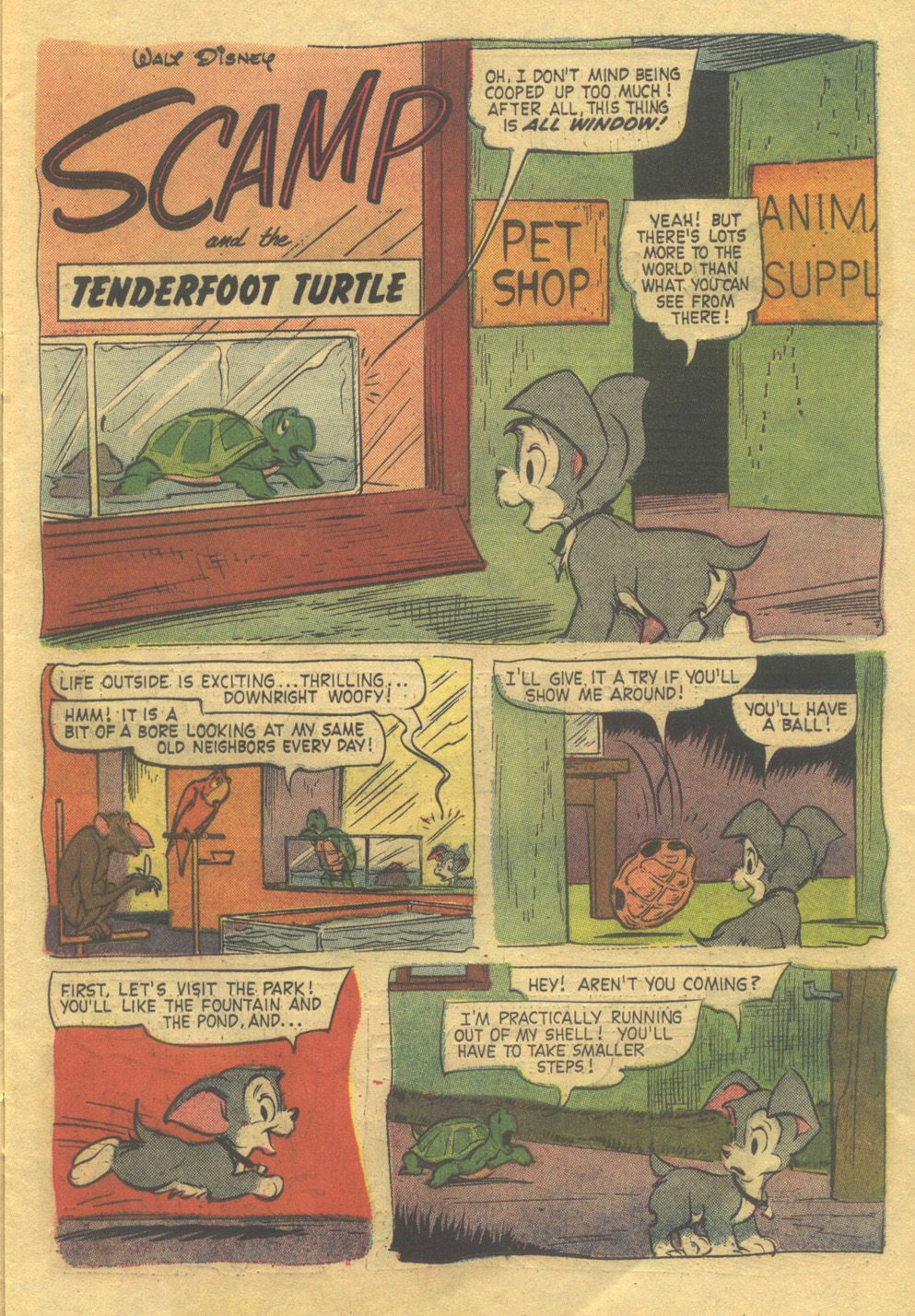 Read online Scamp (1967) comic -  Issue #5 - 11