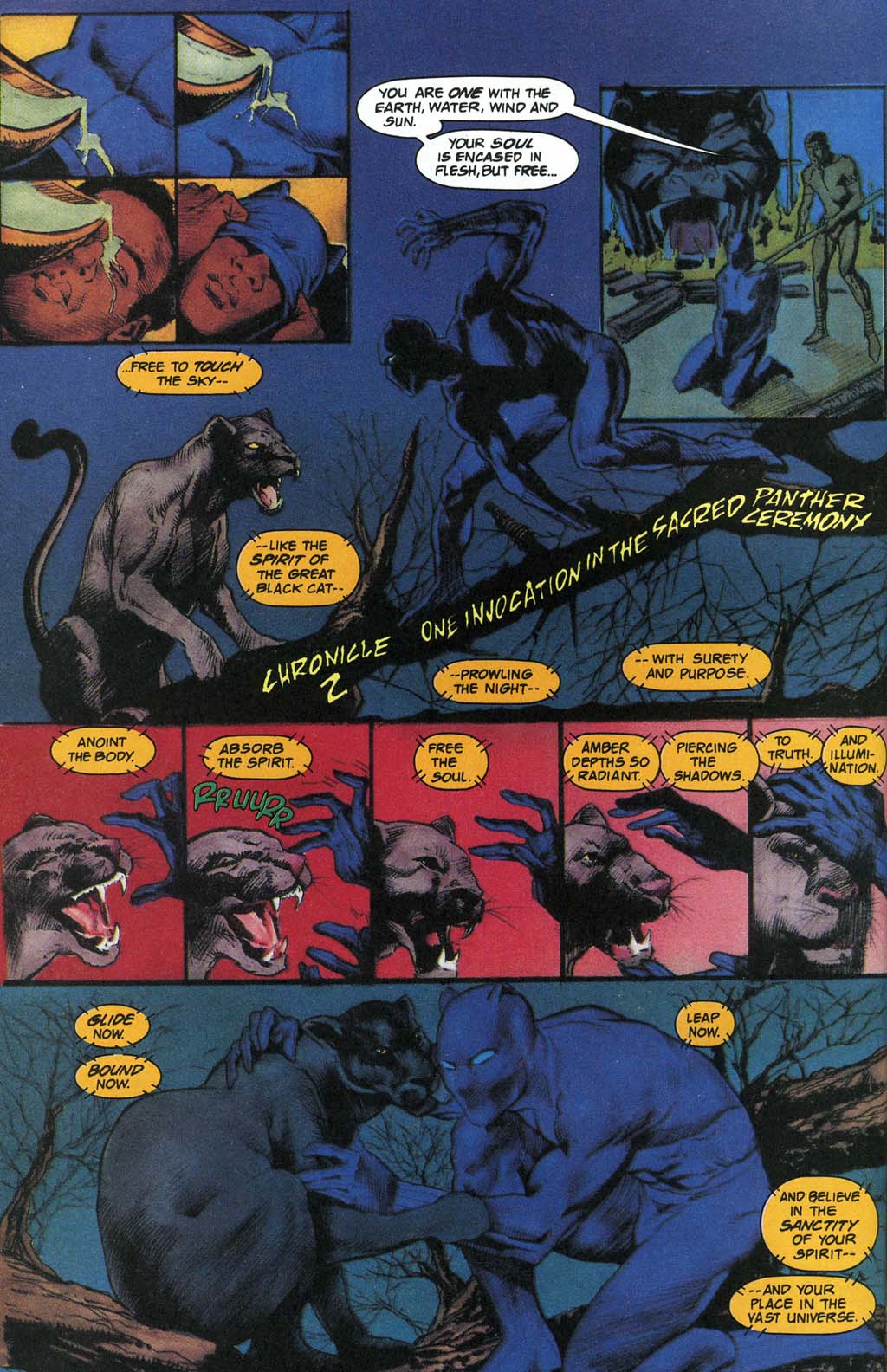 Black Panther: Panthers Prey 2 Page 47