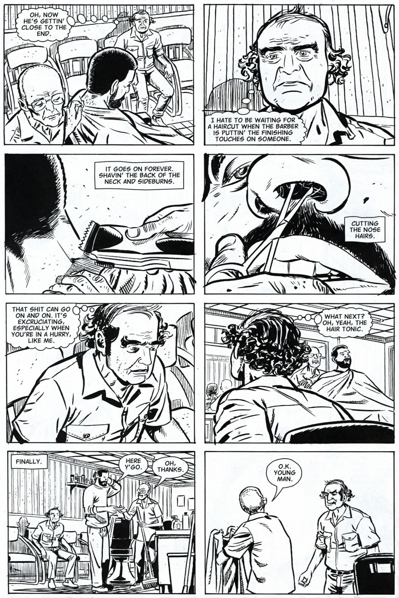 Read online American Splendor (2008) comic -  Issue #2 - 29