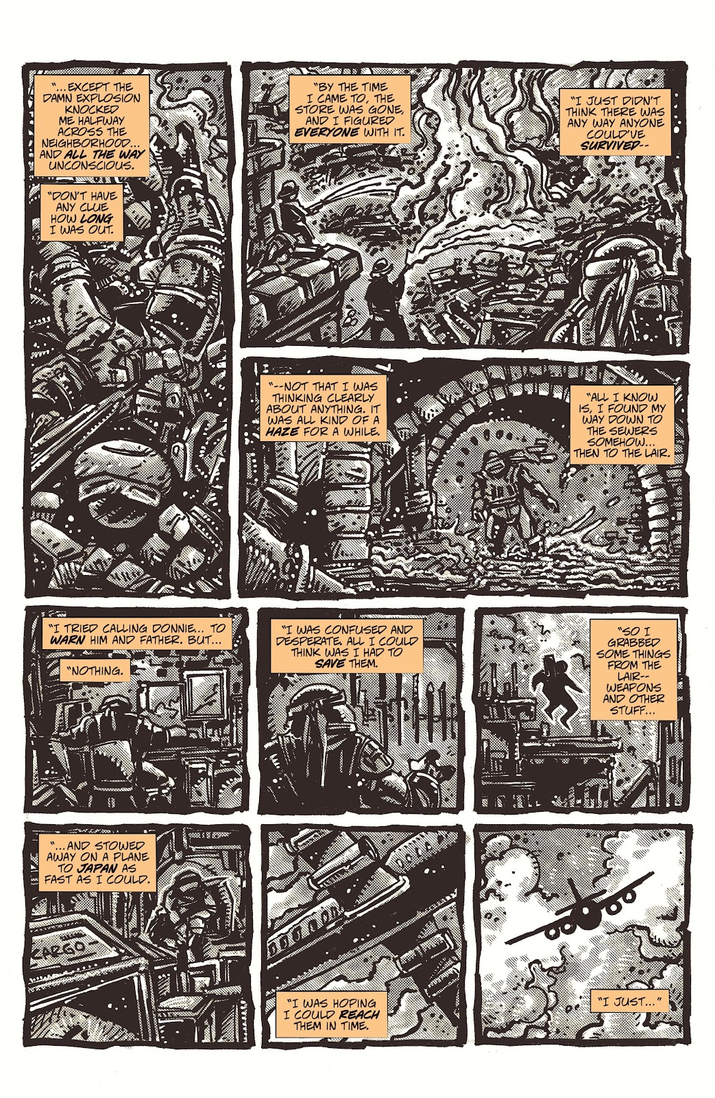 Teenage Mutant Ninja Turtles: The Last Ronin issue 3 - Page 33