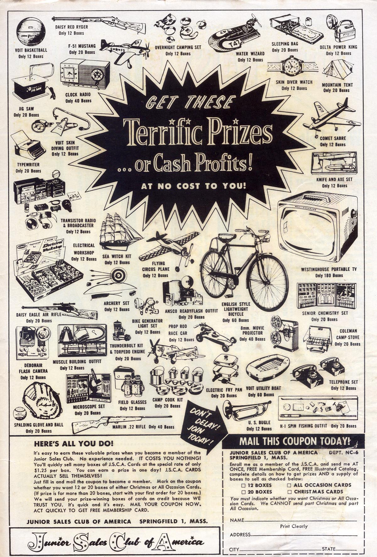 Read online Peter Panda comic -  Issue #31 - 35