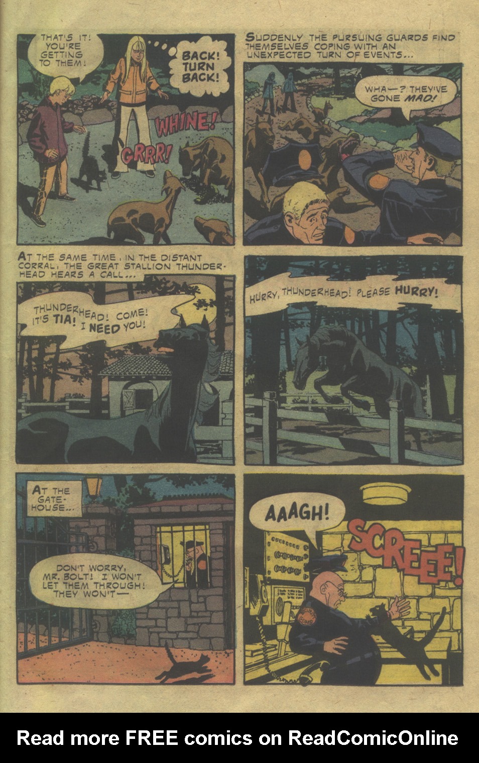 Read online Walt Disney Showcase (1970) comic -  Issue #29 - 15