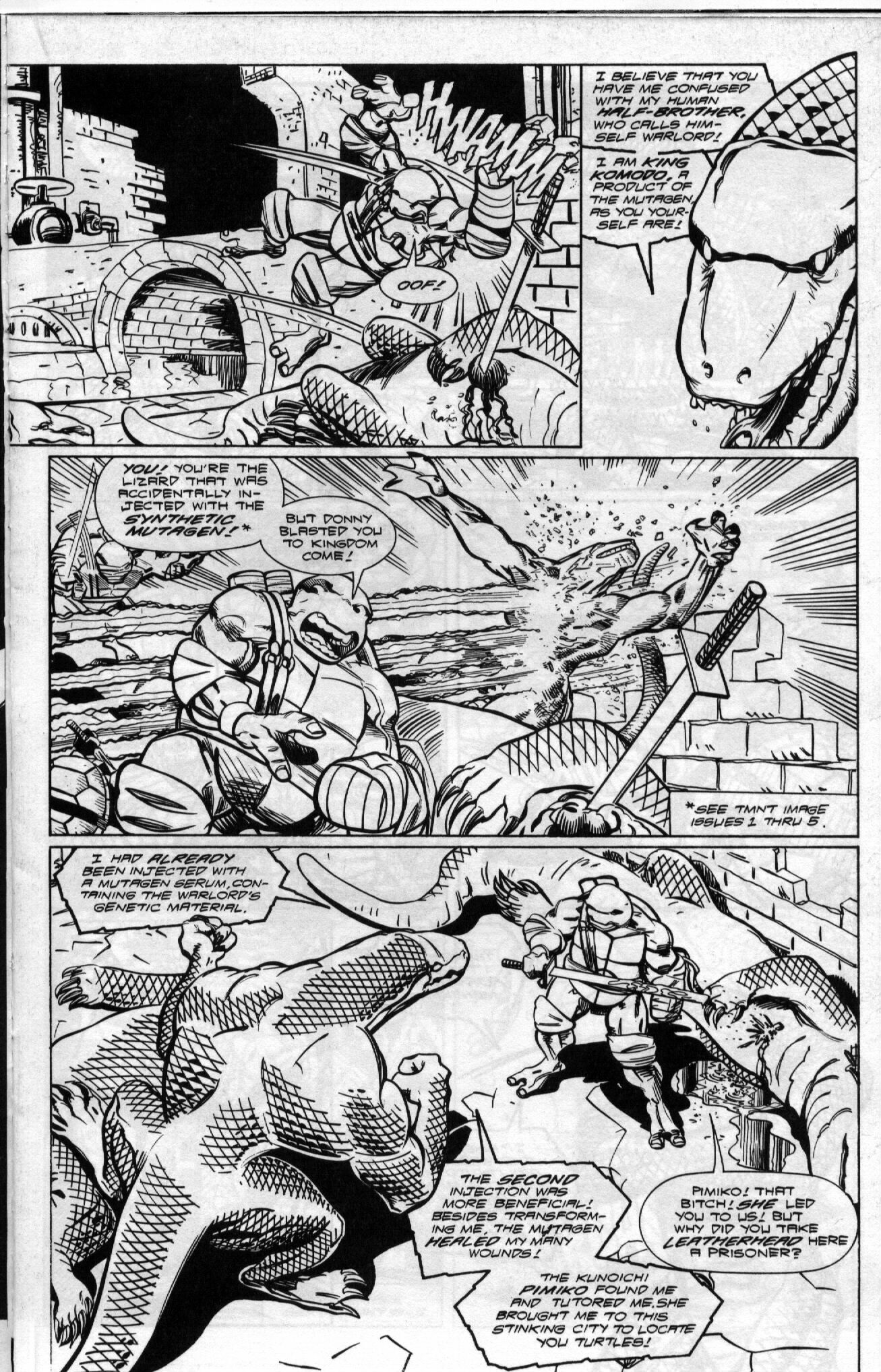 Teenage Mutant Ninja Turtles (1996) Issue #18 #18 - English 11