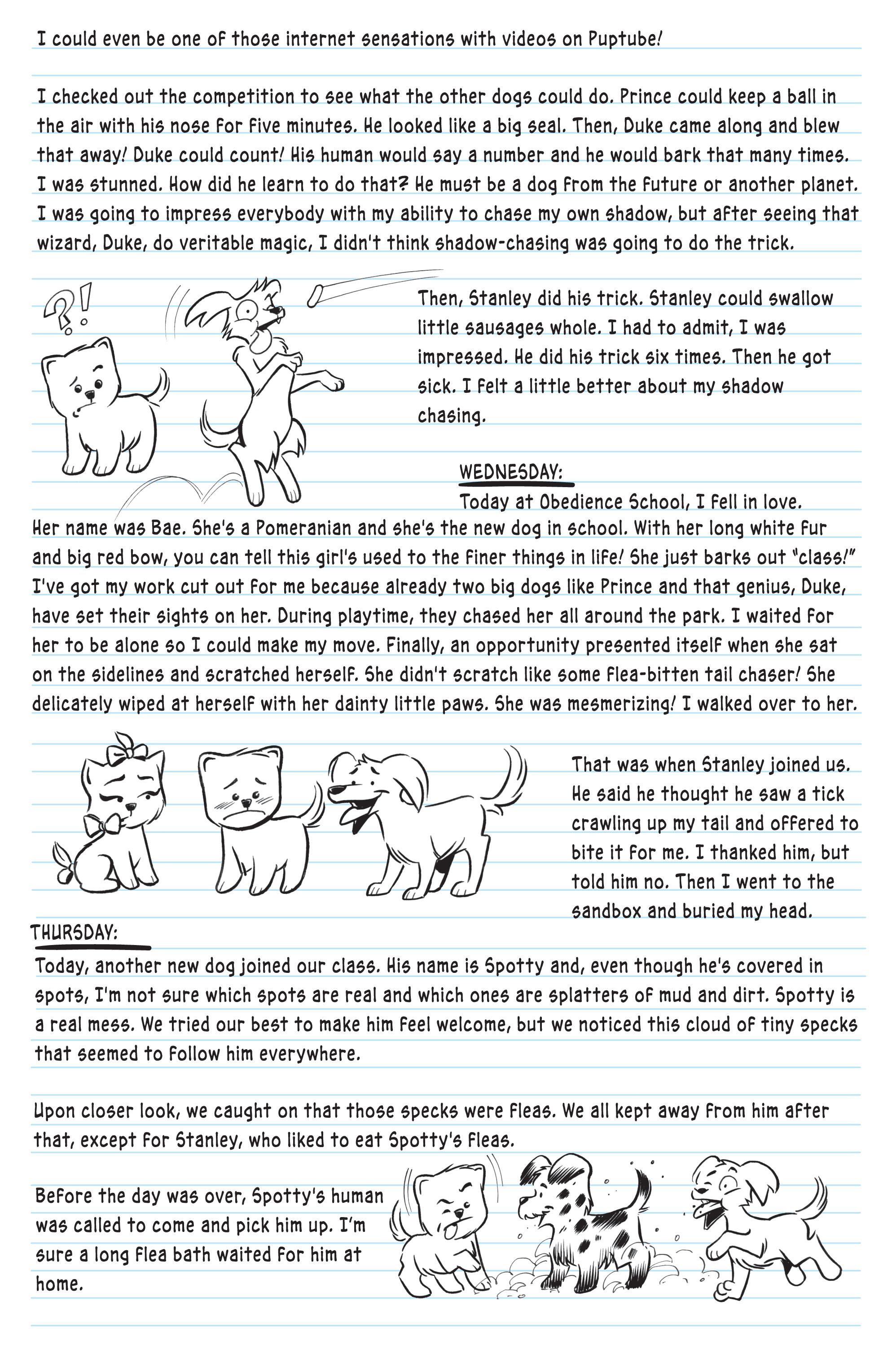 Read online Boo, The World's Cutest Dog comic -  Issue #3 - 25