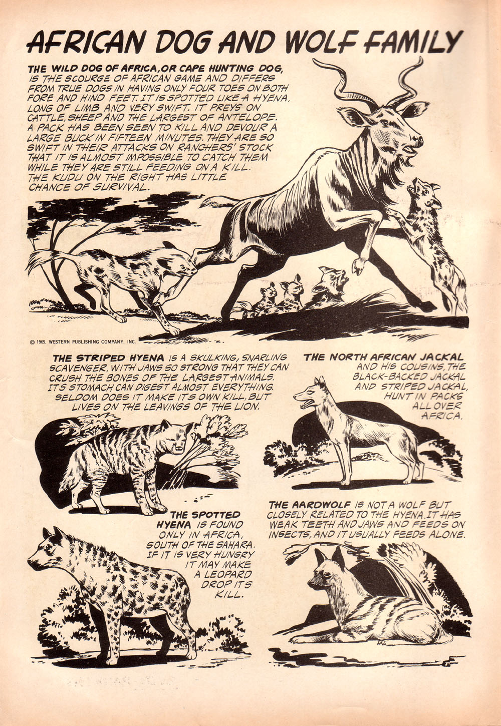 Read online Korak, Son of Tarzan (1964) comic -  Issue #10 - 2