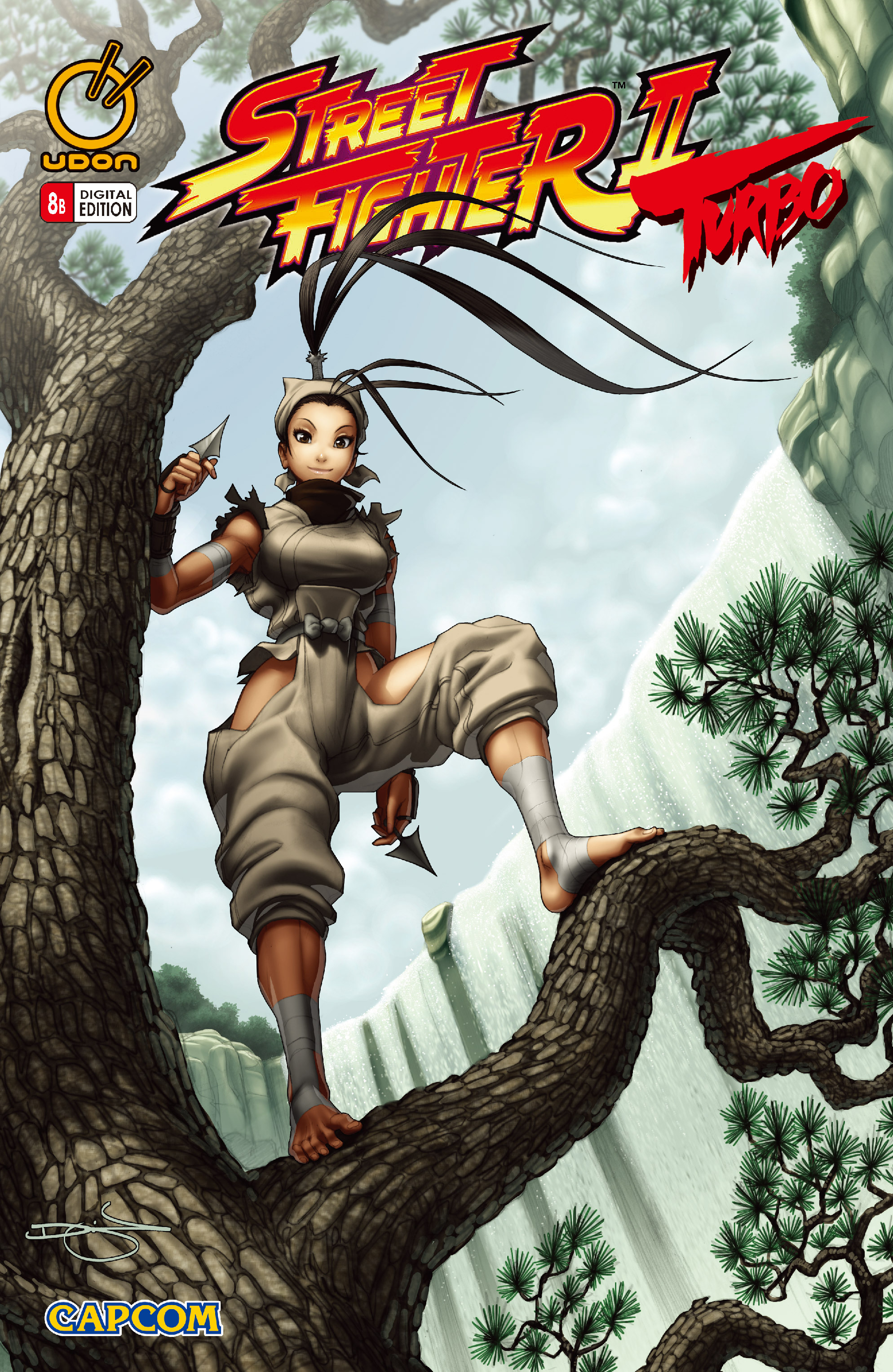 Read online Street Fighter II Turbo comic -  Issue #8 - 2