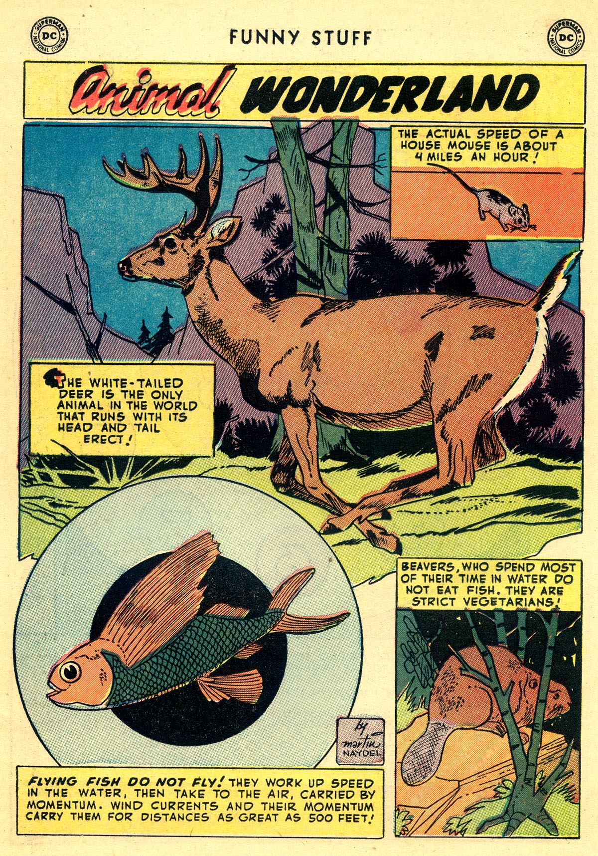 Read online Funny Stuff comic -  Issue #68 - 18