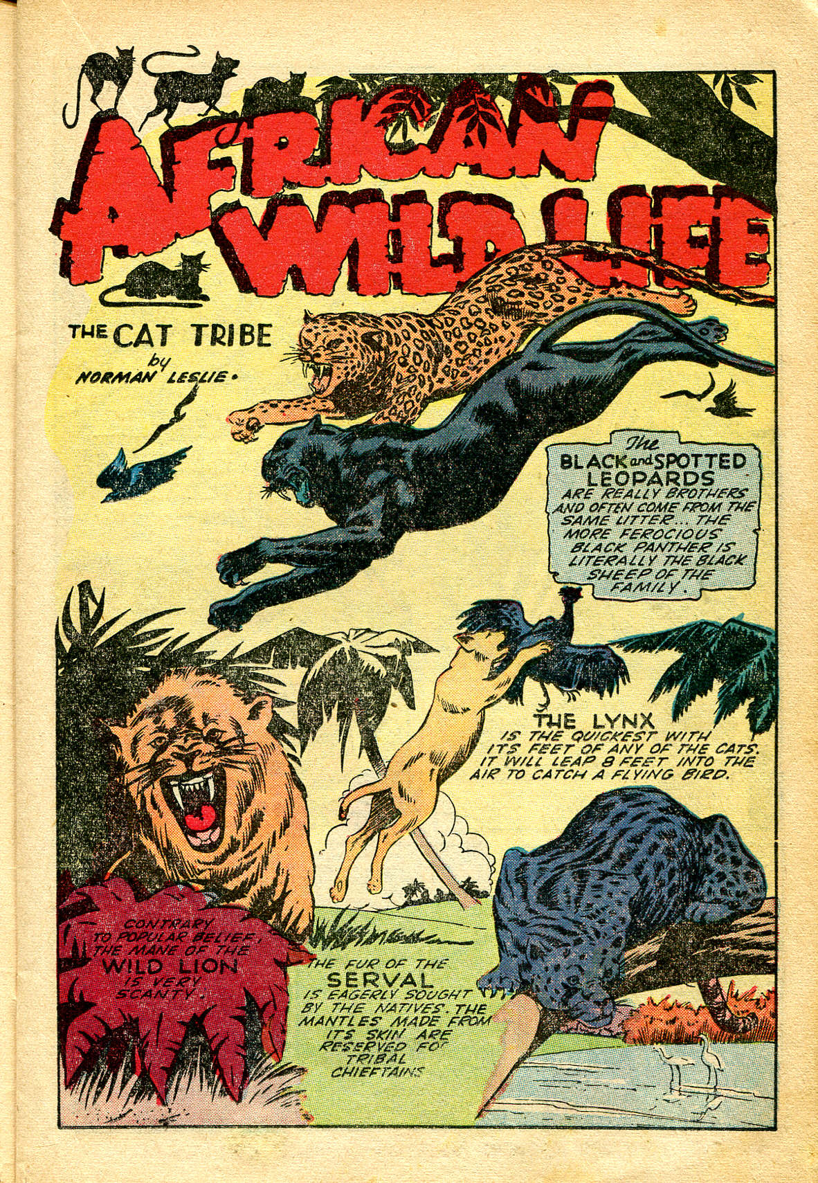 Read online Jungle Comics comic -  Issue #115 - 19