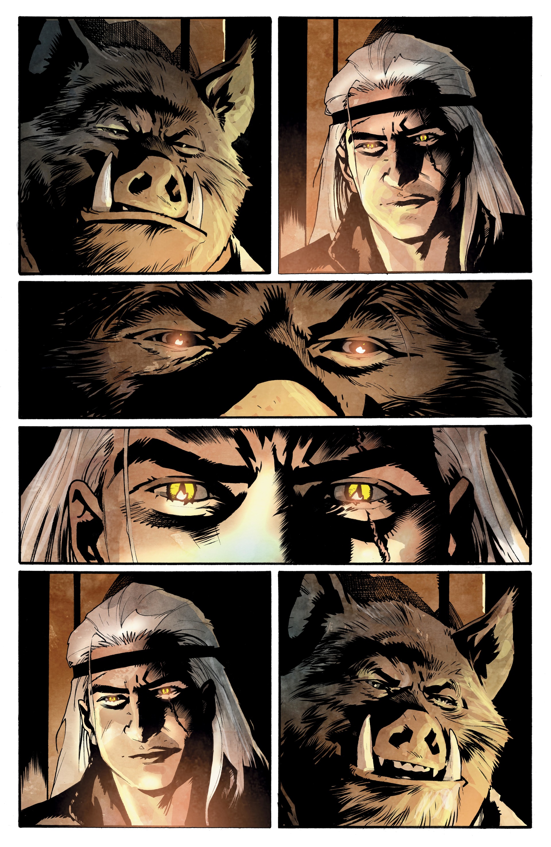 Read online The Witcher: A Grain of Truth comic -  Issue # Full - 22