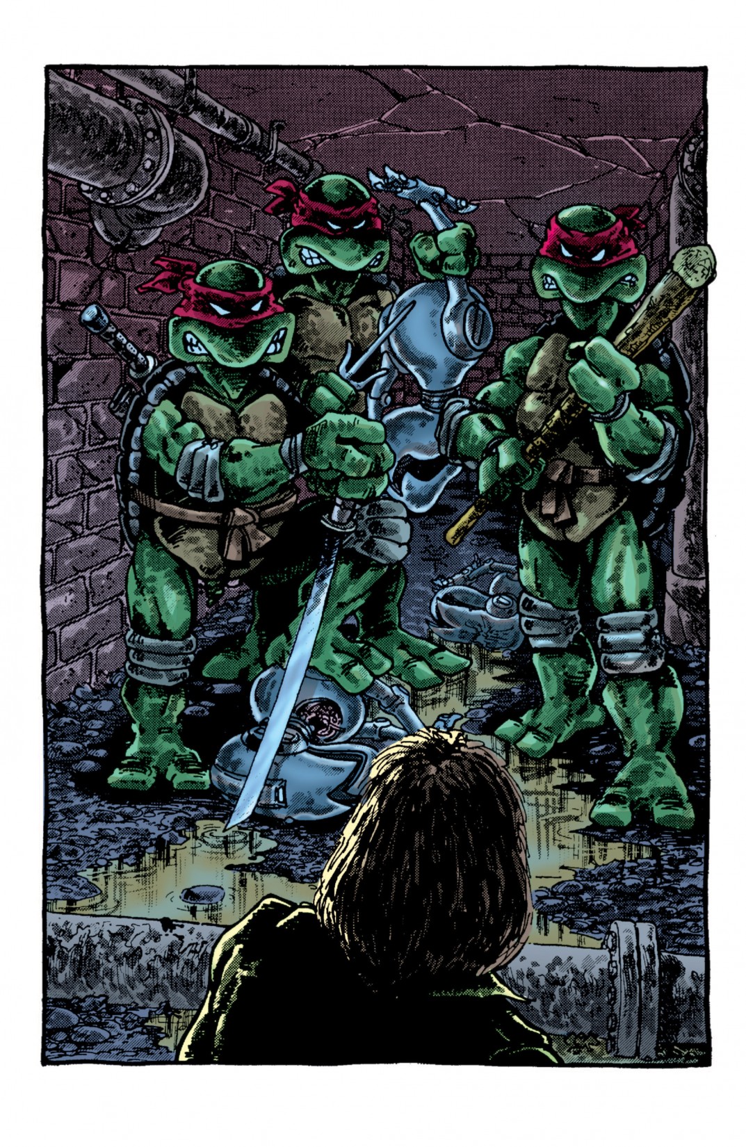 Read online Teenage Mutant Ninja Turtles Color Classics (2012) comic -  Issue #2 - 18
