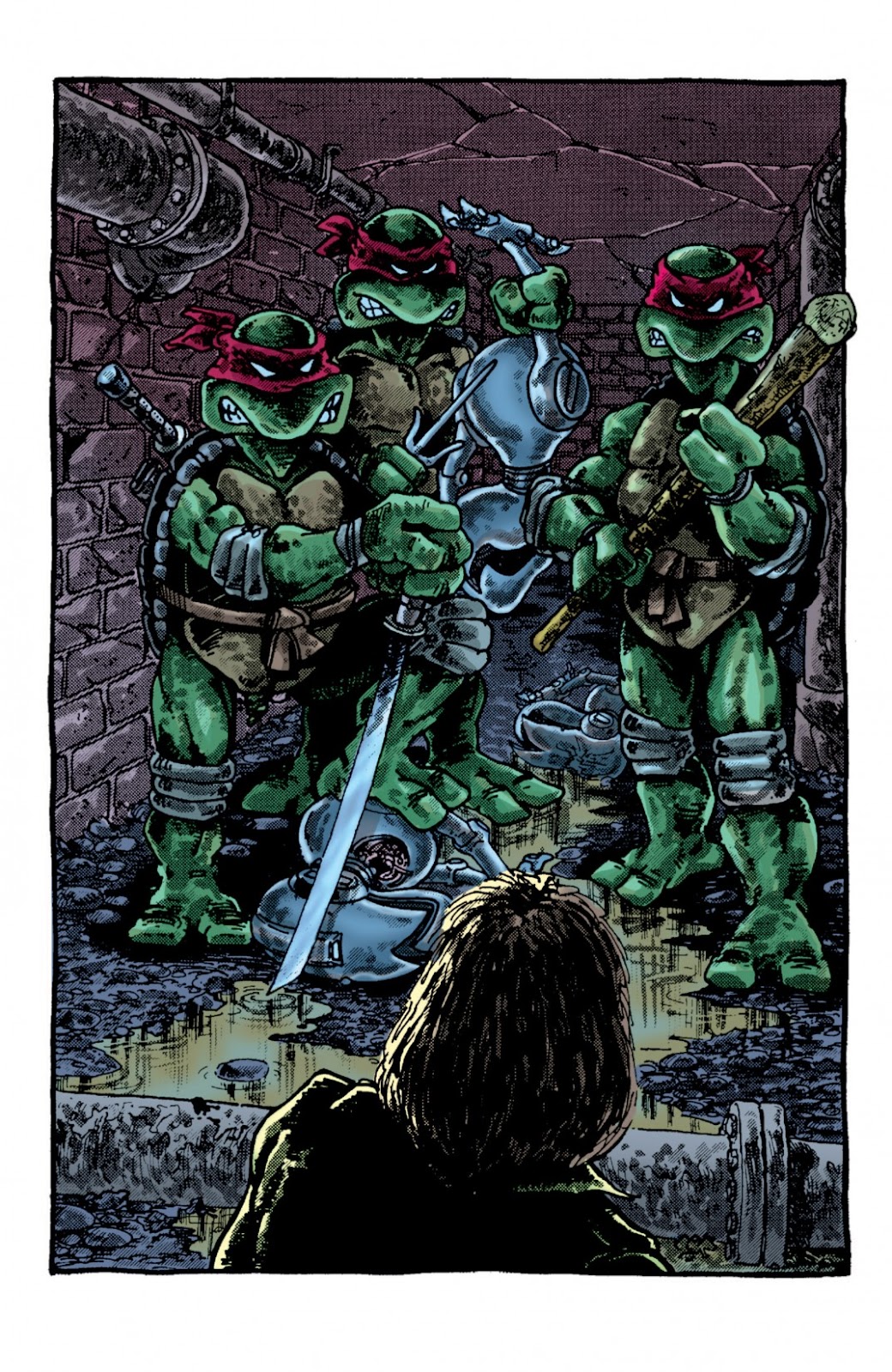 Teenage Mutant Ninja Turtles Color Classics (2012) issue 2 - Page 18