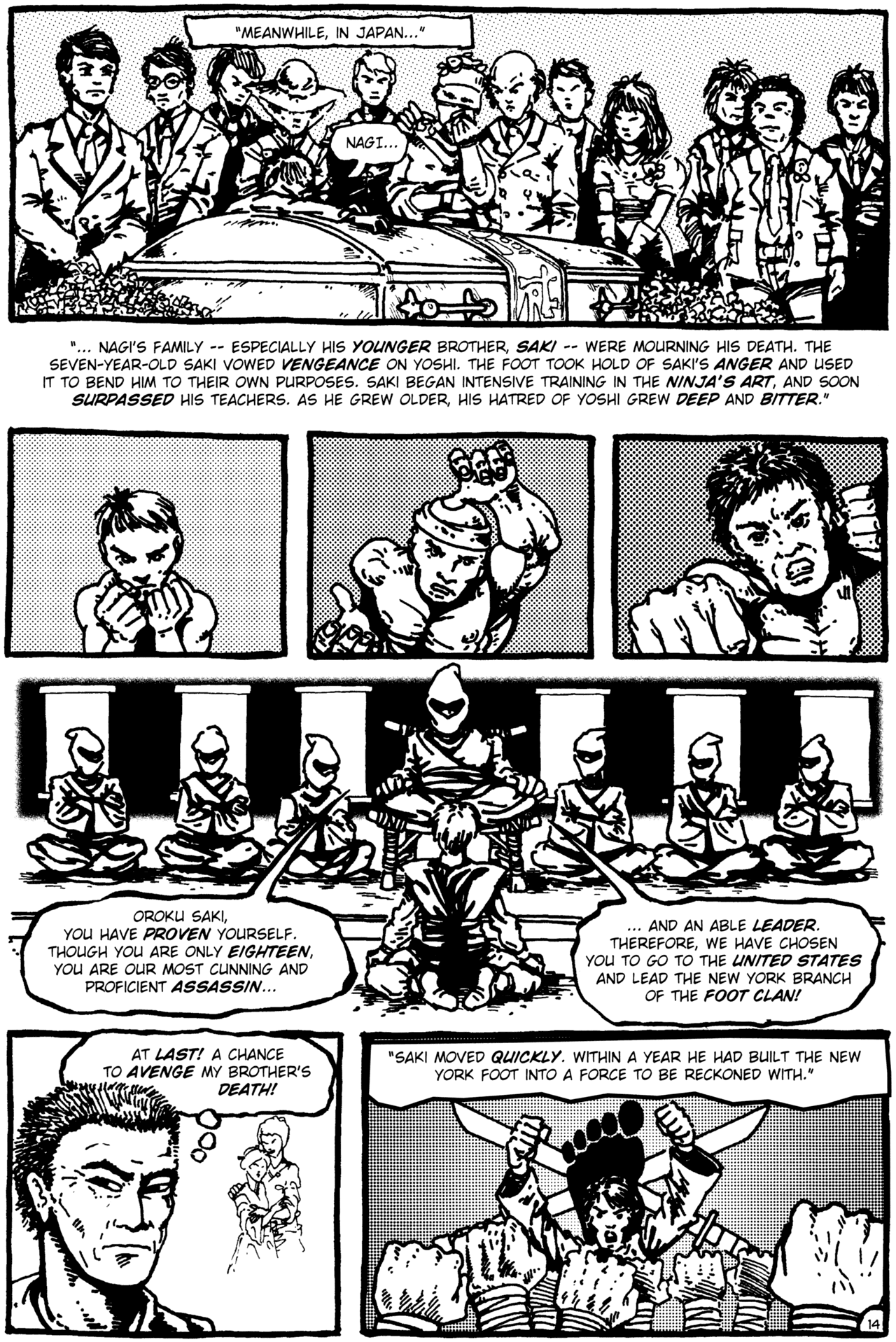 Read online Teenage Mutant Ninja Turtles (1984) comic -  Issue #1 - 15