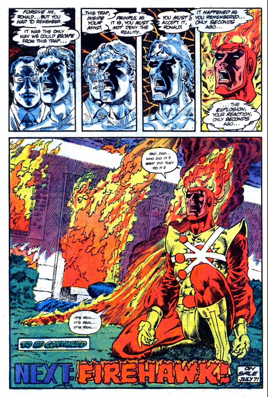 Read online The Fury of Firestorm comic -  Issue #16 - 24