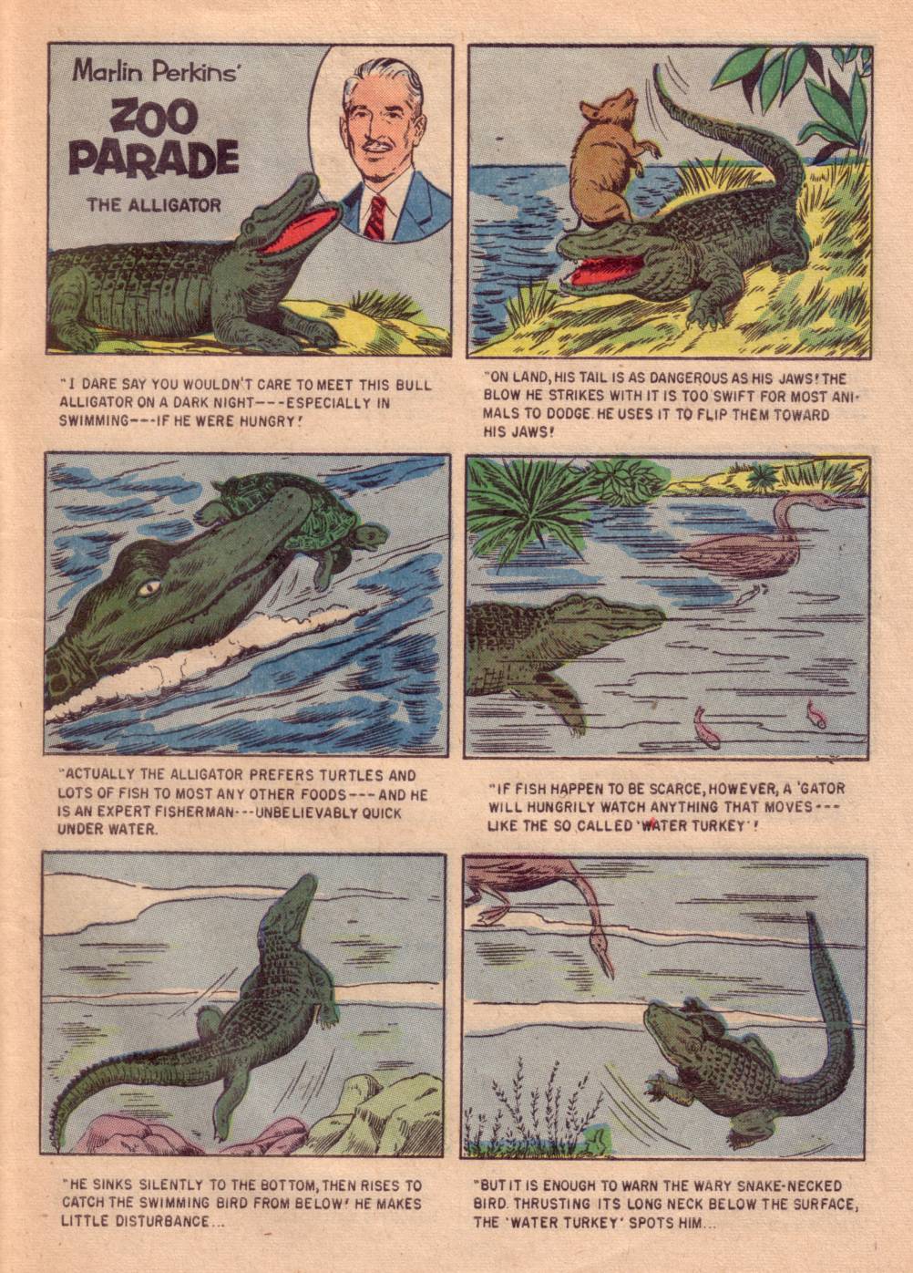 Read online Four Color Comics comic -  Issue #662 - 31