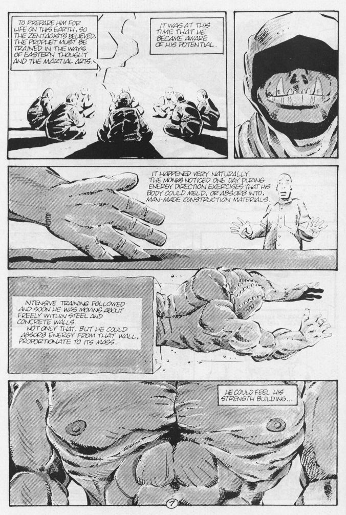 Tales of the Teenage Mutant Ninja Turtles issue 5 - Page 9