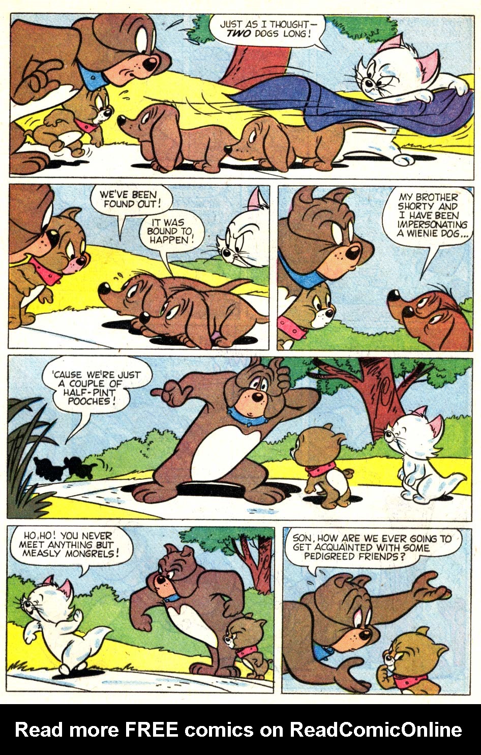 Read online M.G.M's The Mouse Musketeers comic -  Issue #10 - 21