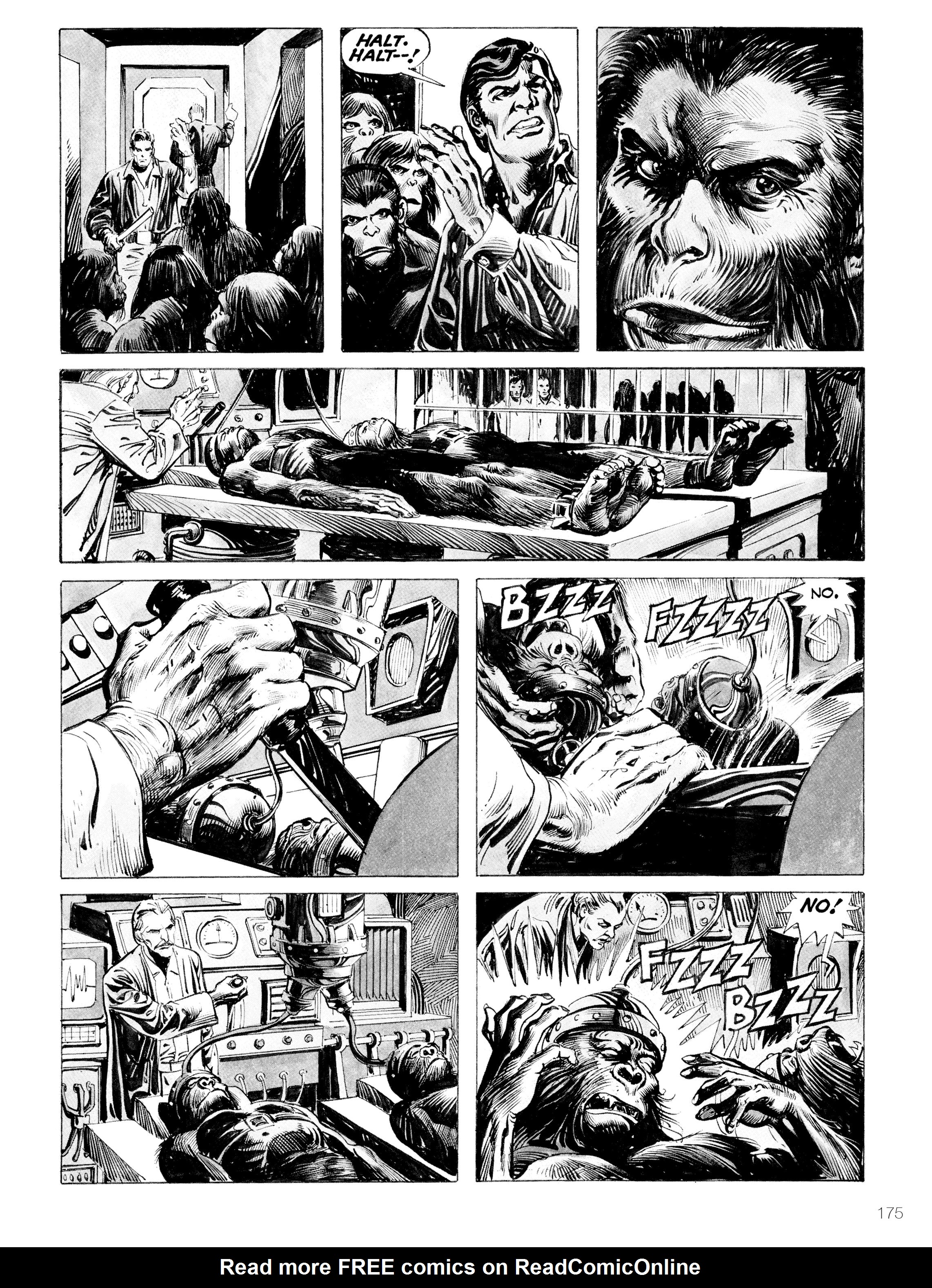 Read online Planet of the Apes: Archive comic -  Issue # TPB 3 (Part 2) - 72