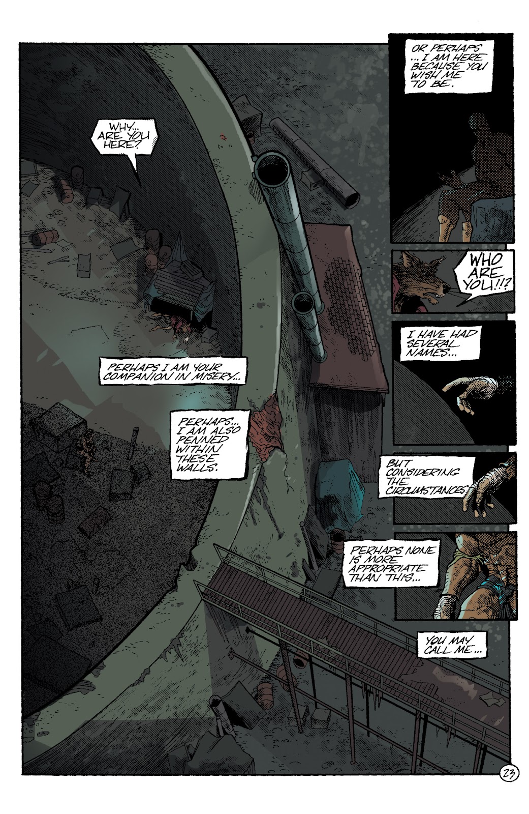 Teenage Mutant Ninja Turtles Color Classics (2015) issue 8 - Page 24