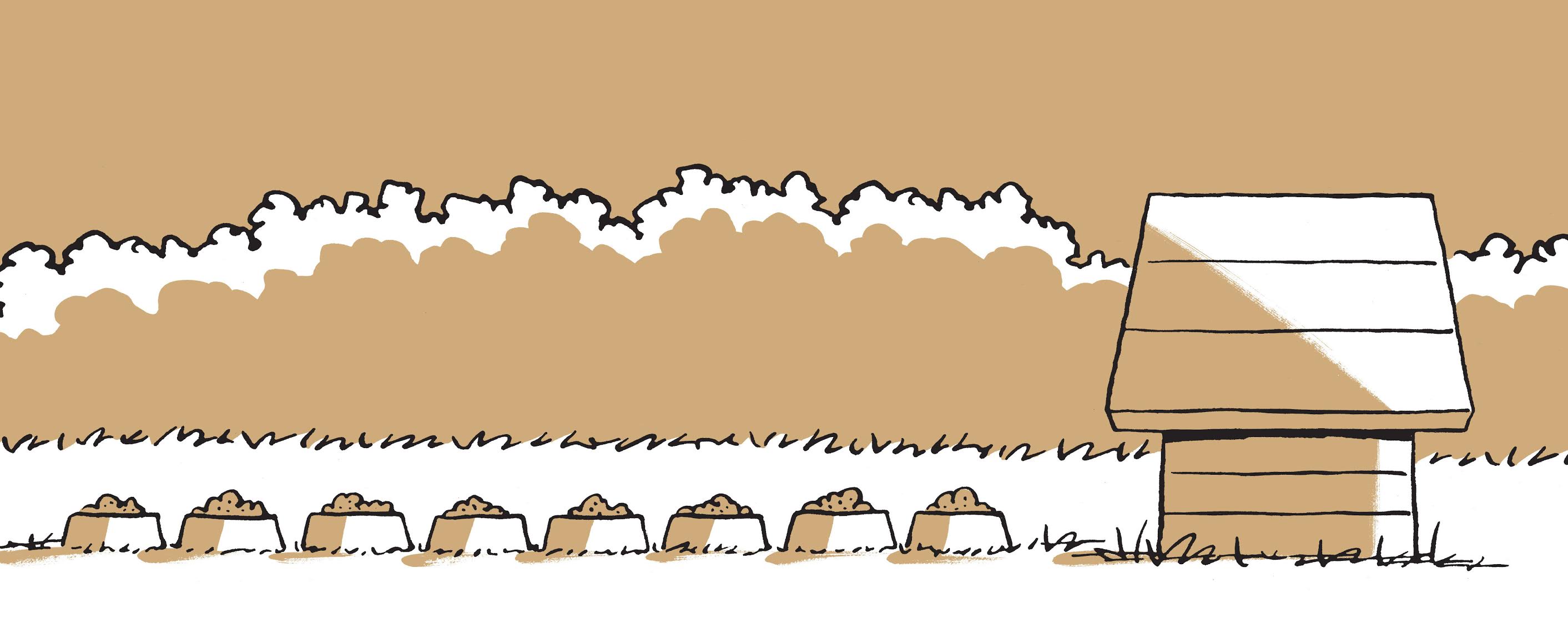 Read online The Complete Peanuts comic -  Issue # TPB 26 (Part 1) - 3