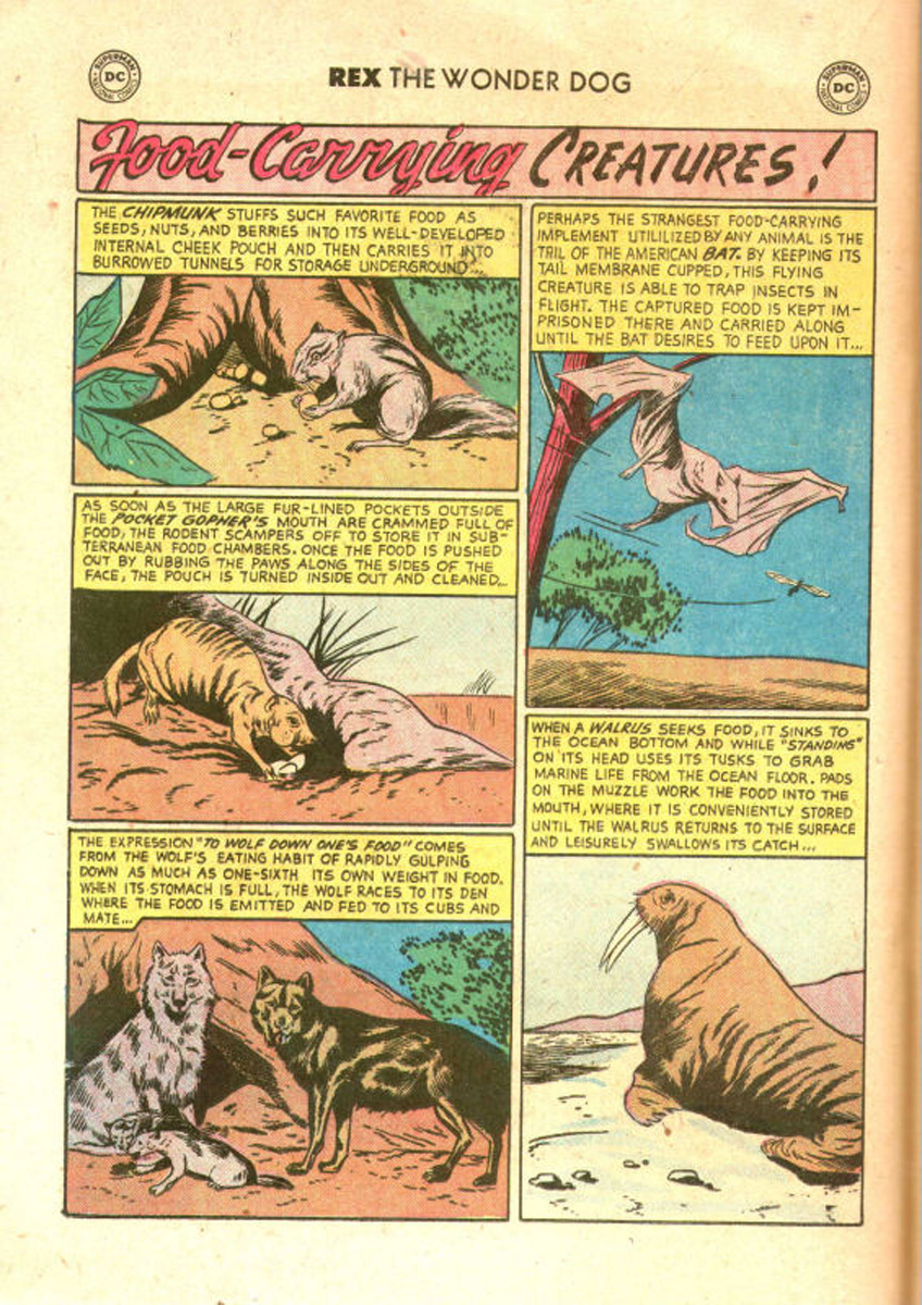 Read online The Adventures of Rex the Wonder Dog comic -  Issue #31 - 22