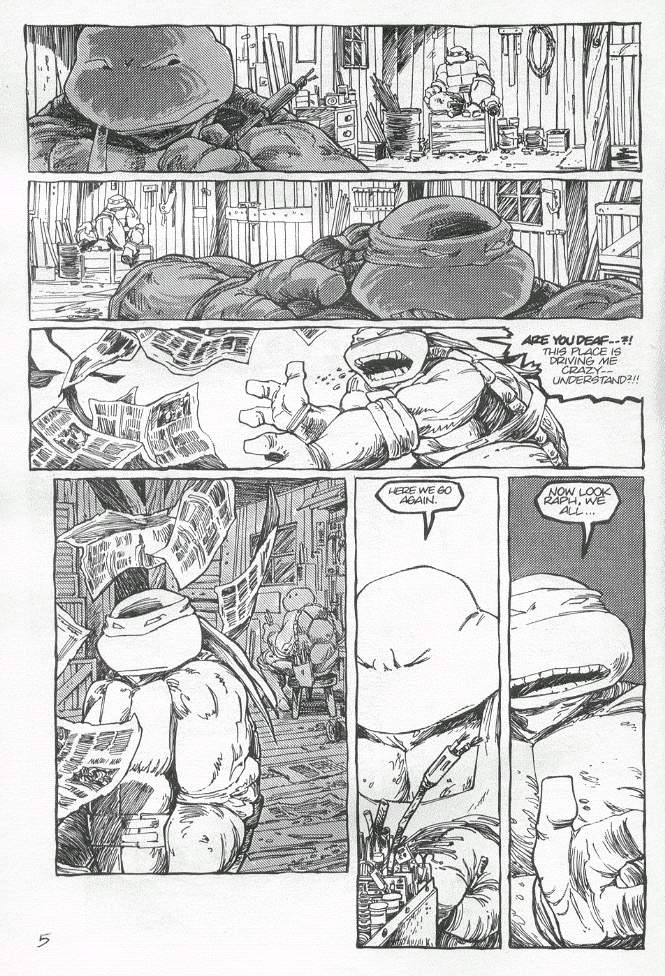 Read online Teenage Mutant Ninja Turtles (1984) comic -  Issue #19 - 6