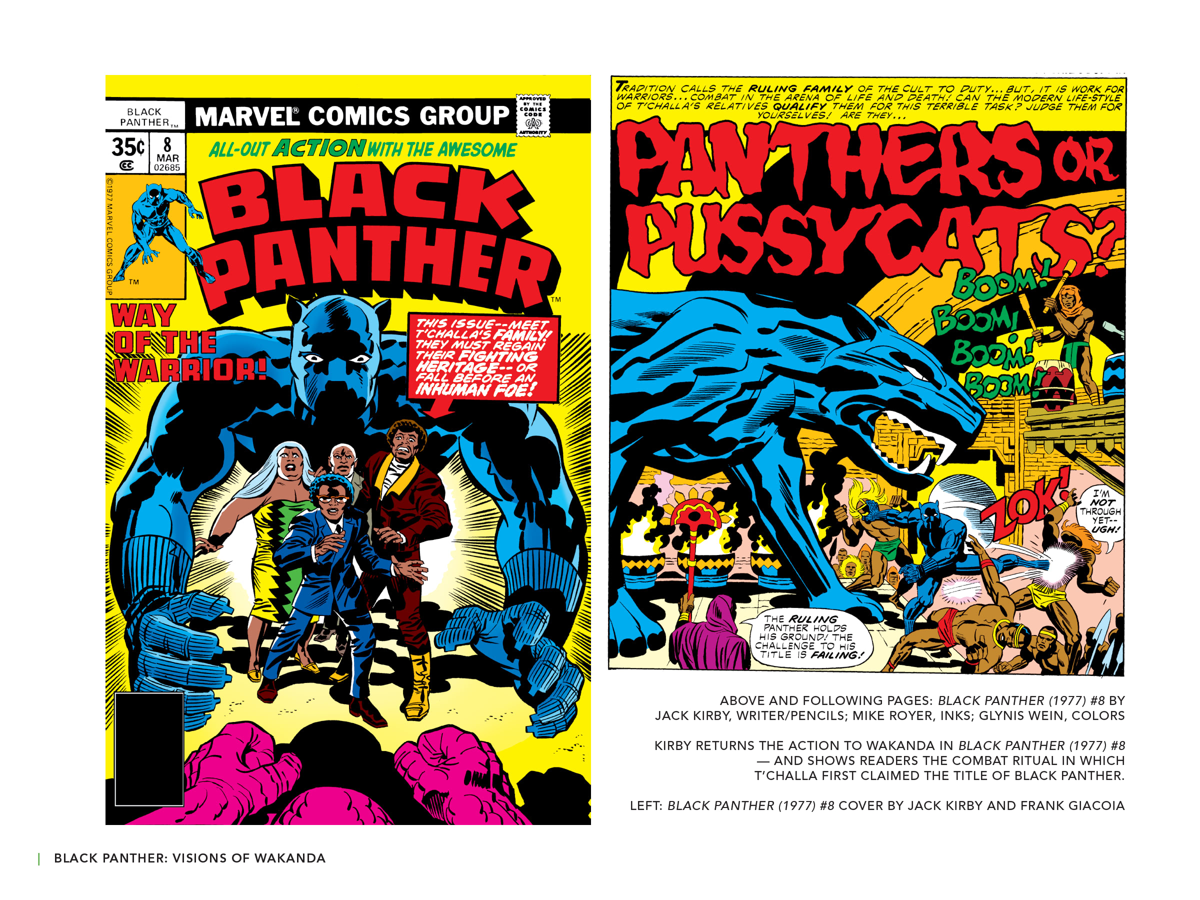 Read online Black Panther: Visions of Wakanda comic -  Issue # TPB (Part 1) - 92