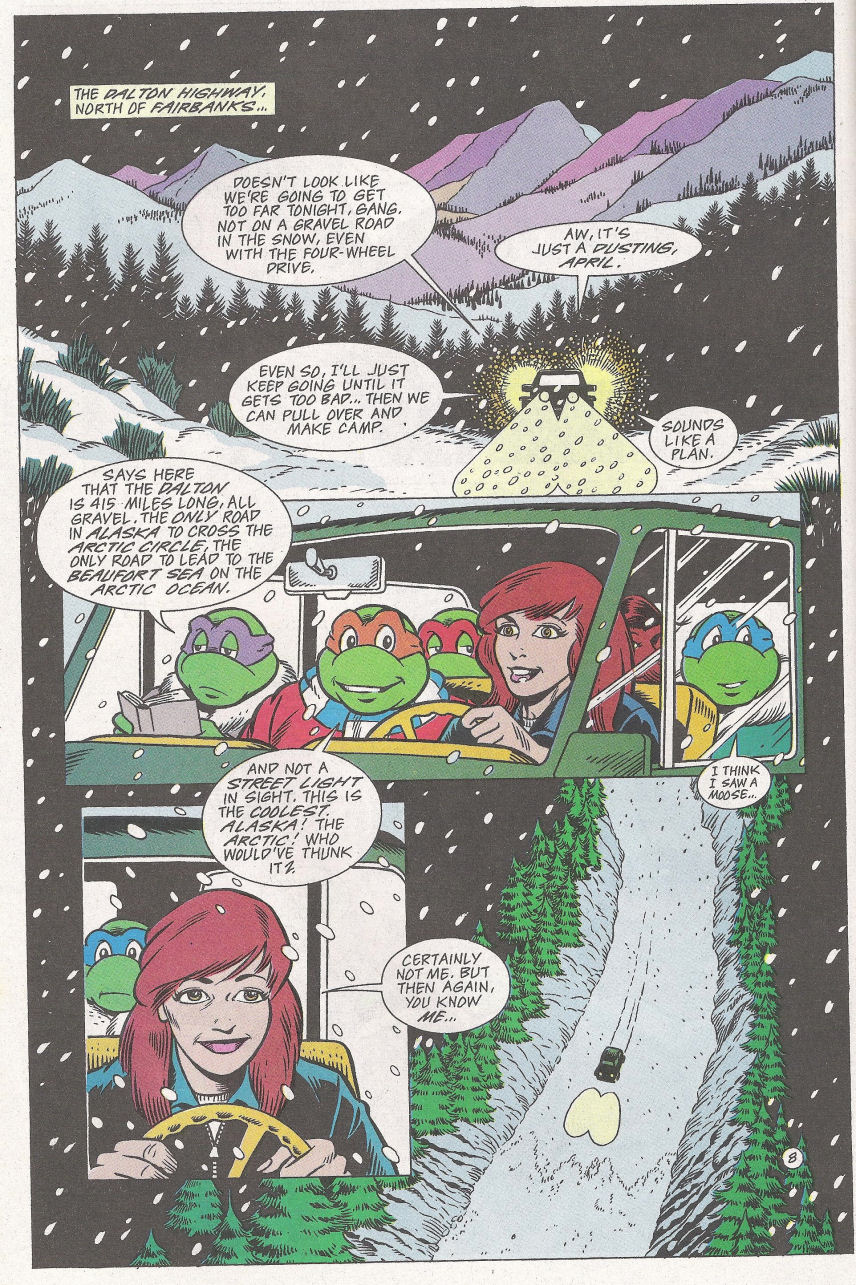 Read online Teenage Mutant Ninja Turtles Adventures (1989) comic -  Issue #67 - 10