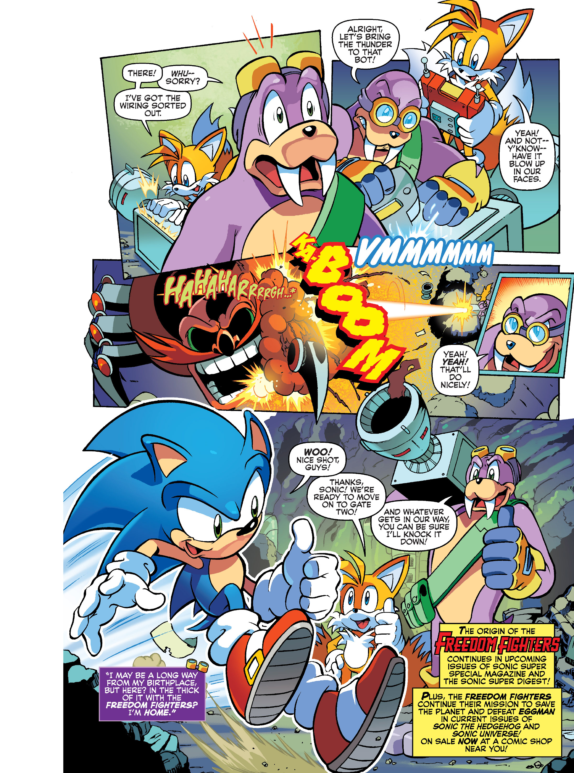 Read online Sonic Super Digest comic -  Issue #7 - 6