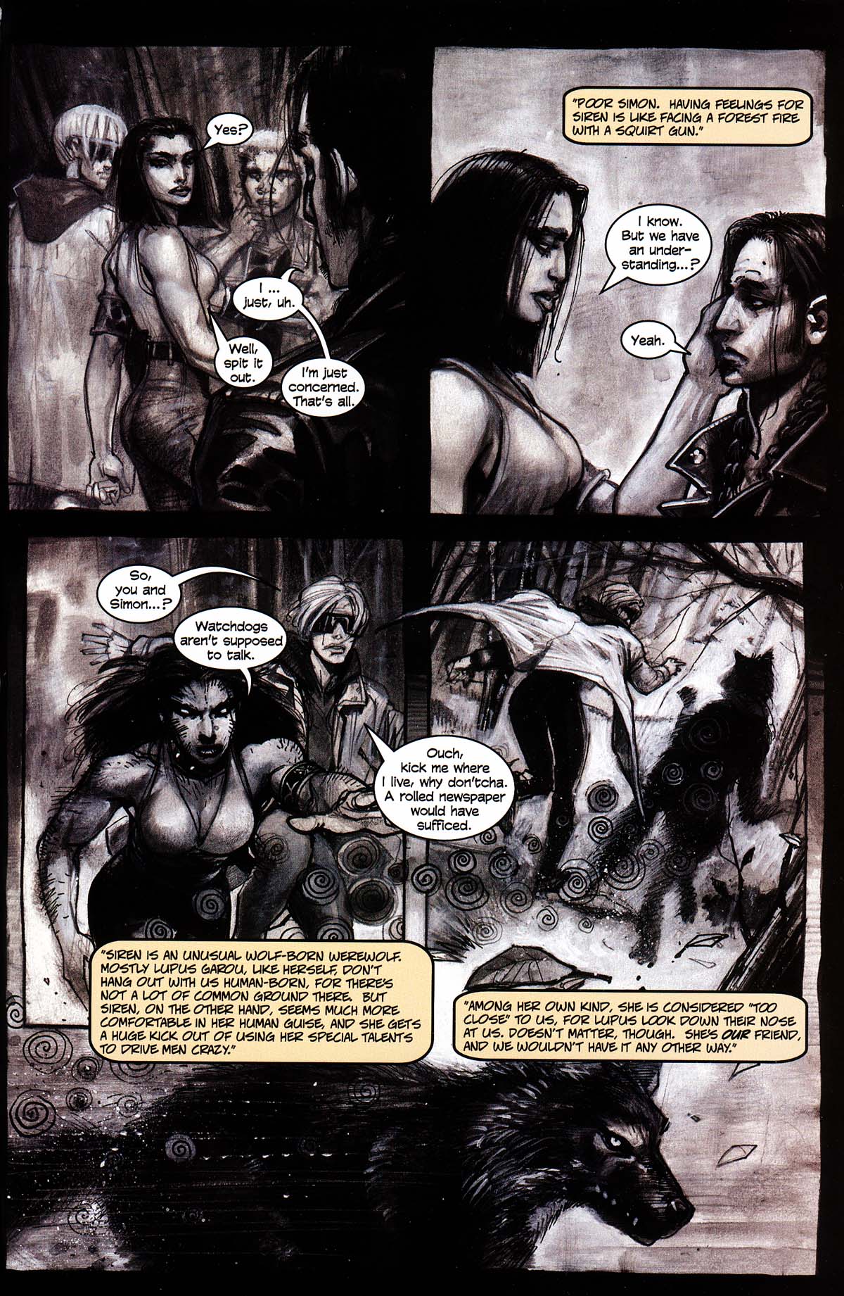 Read online Werewolf the Apocalypse comic -  Issue # Black Furies - 17