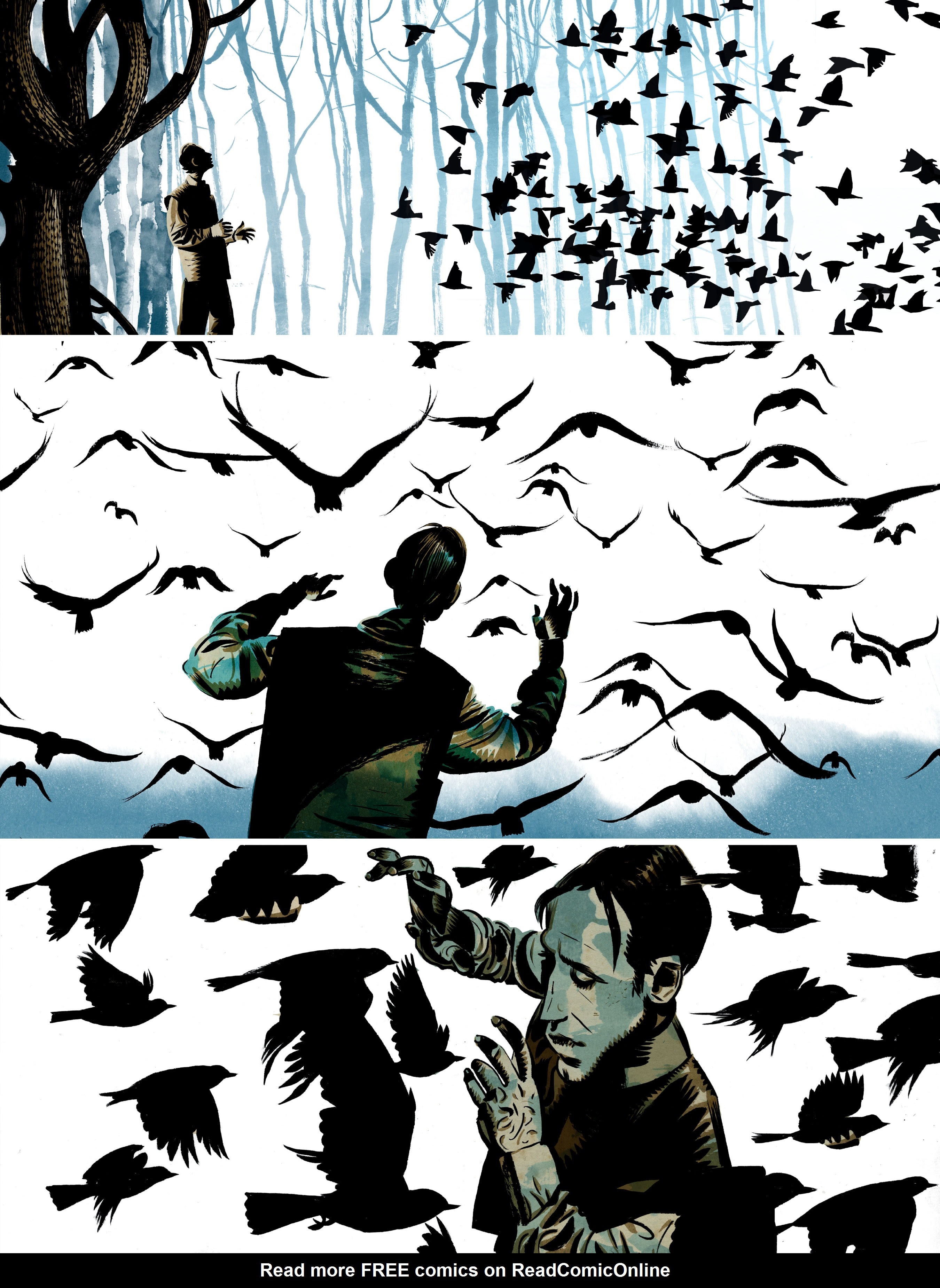 Read online Raptor: A Sokol Graphic Novel comic -  Issue # TPB - 99
