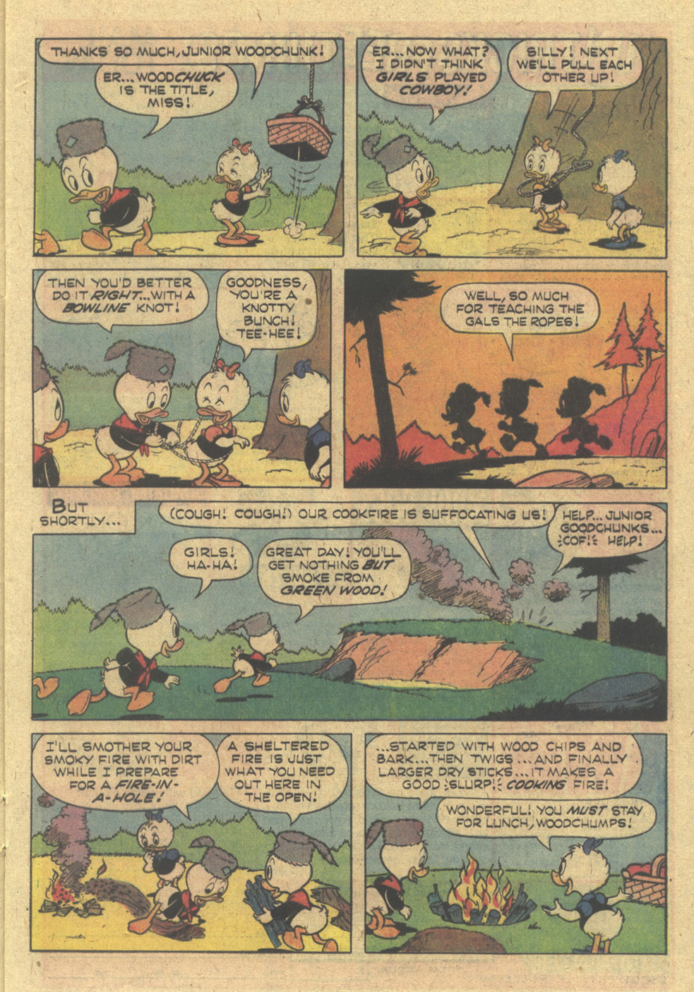 Read online Huey, Dewey, and Louie Junior Woodchucks comic -  Issue #1 - 17