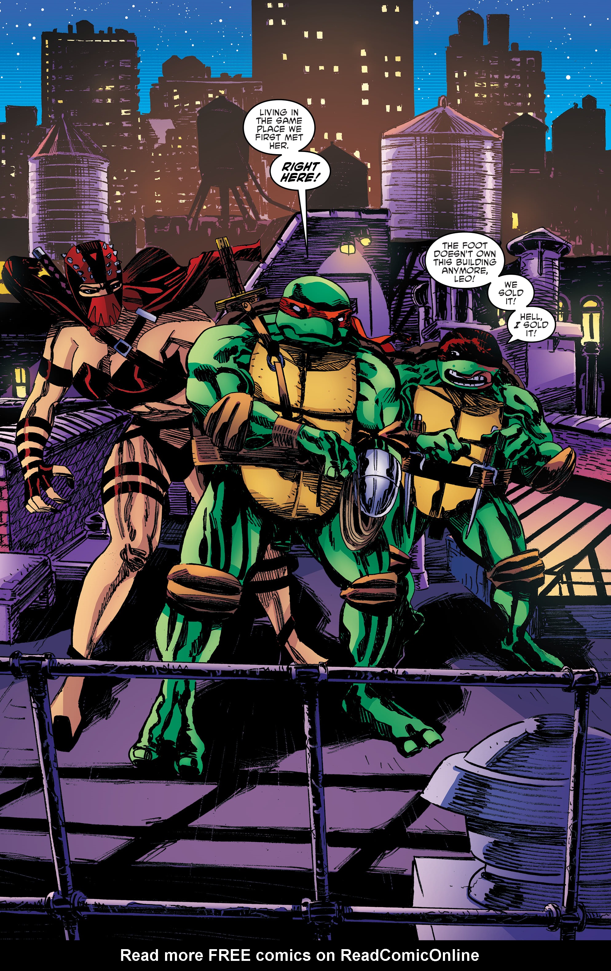 Read online Teenage Mutant Ninja Turtles: Urban Legends comic -  Issue #24 - 4