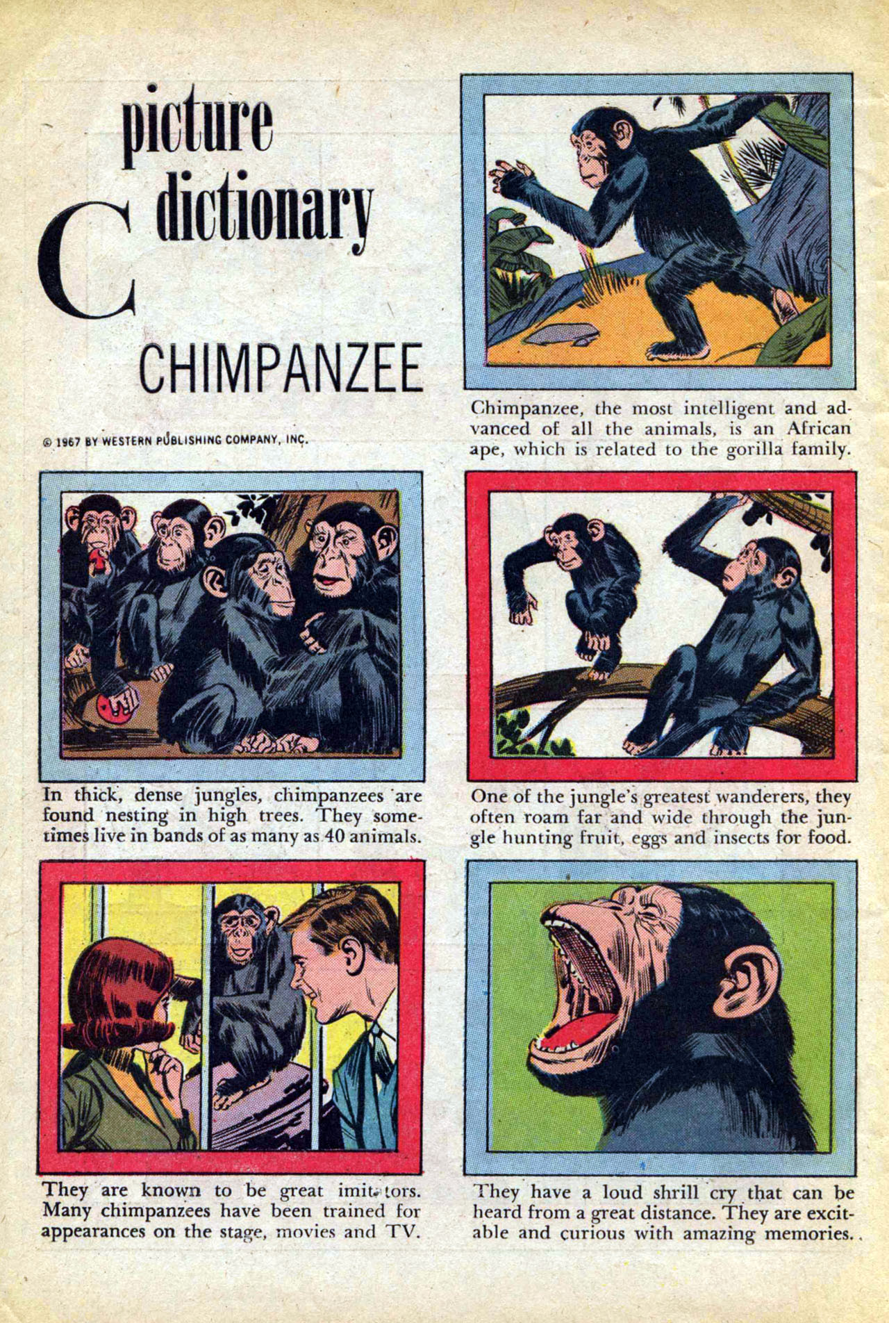 Read online Walt Disney Chip 'n' Dale comic -  Issue #1 - 34