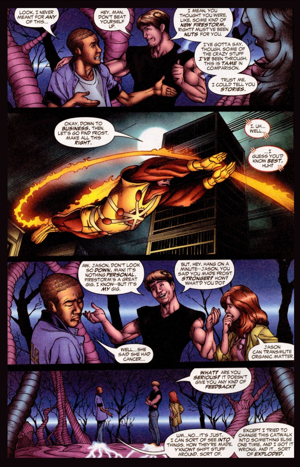 Read online Firestorm (2004) comic -  Issue #10 - 6
