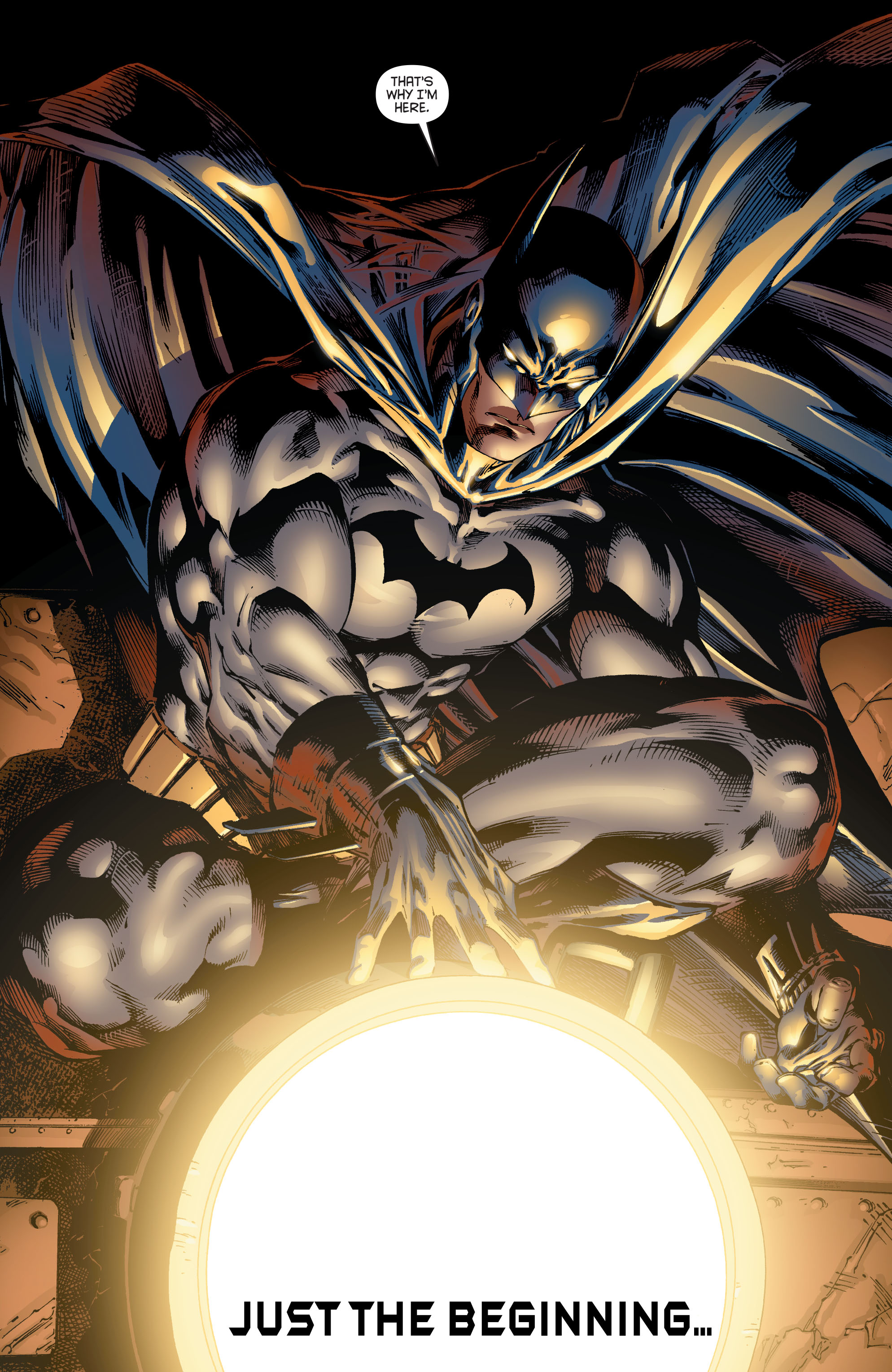 Read online Batman (1940) comic -  Issue #687 - 31