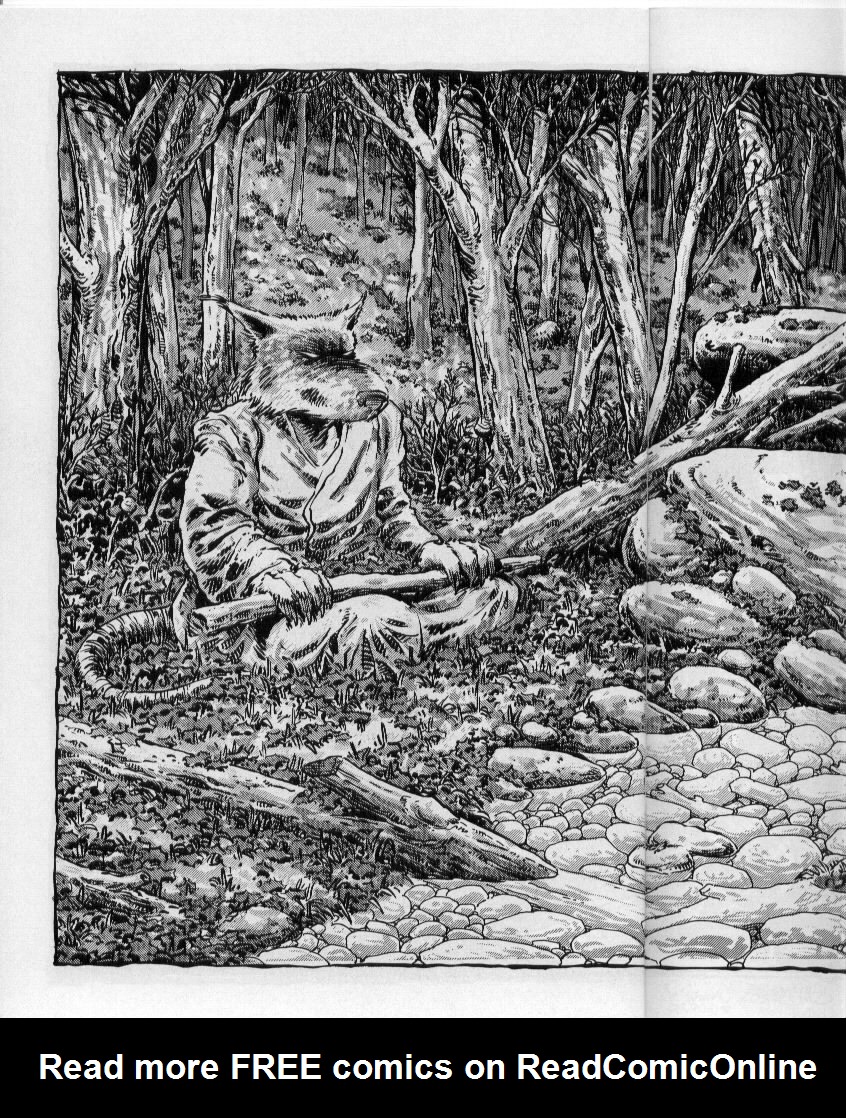 Read online Teenage Mutant Ninja Turtles (1984) comic -  Issue #50 - 49