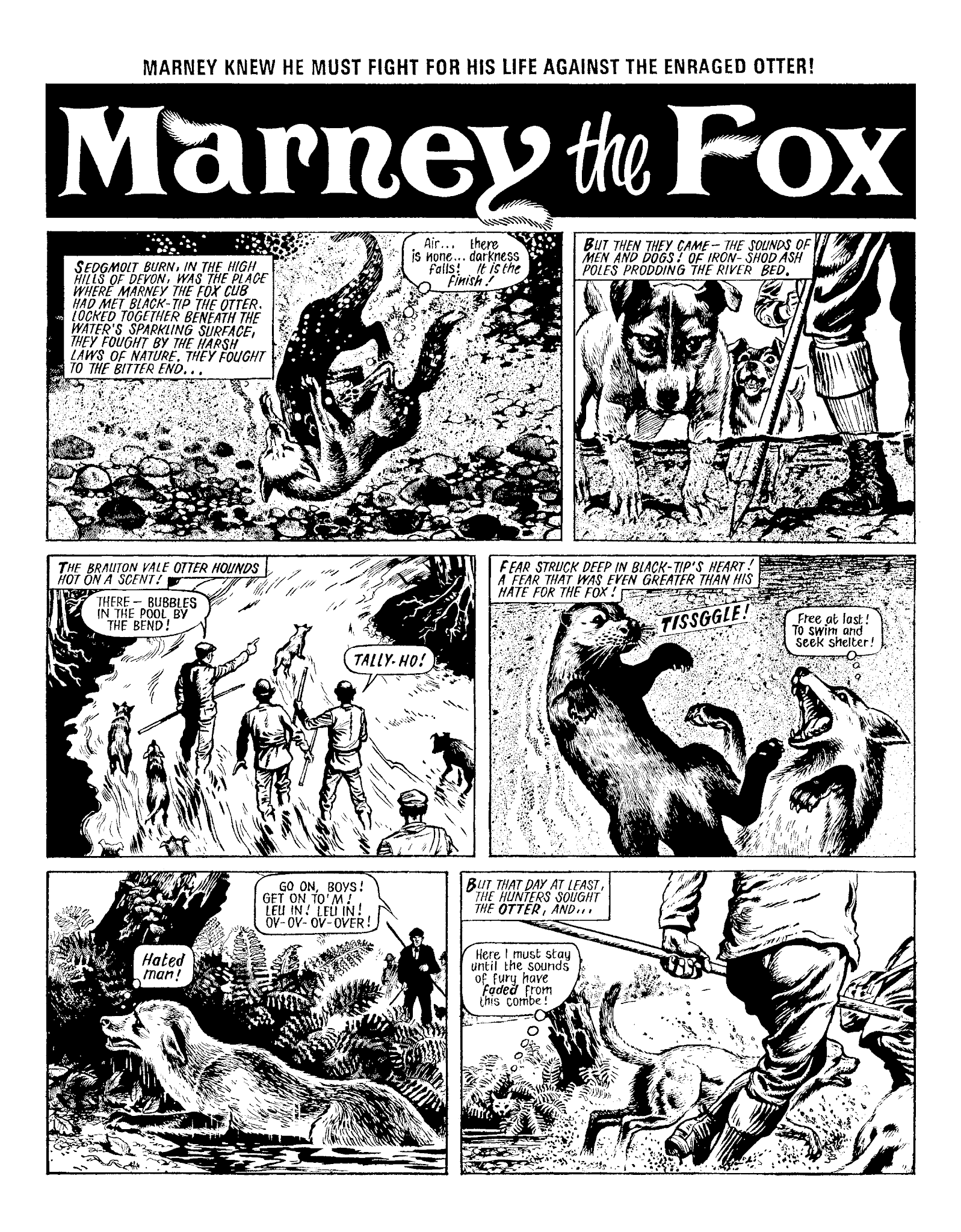 Read online Marney the Fox comic -  Issue # TPB (Part 1) - 15