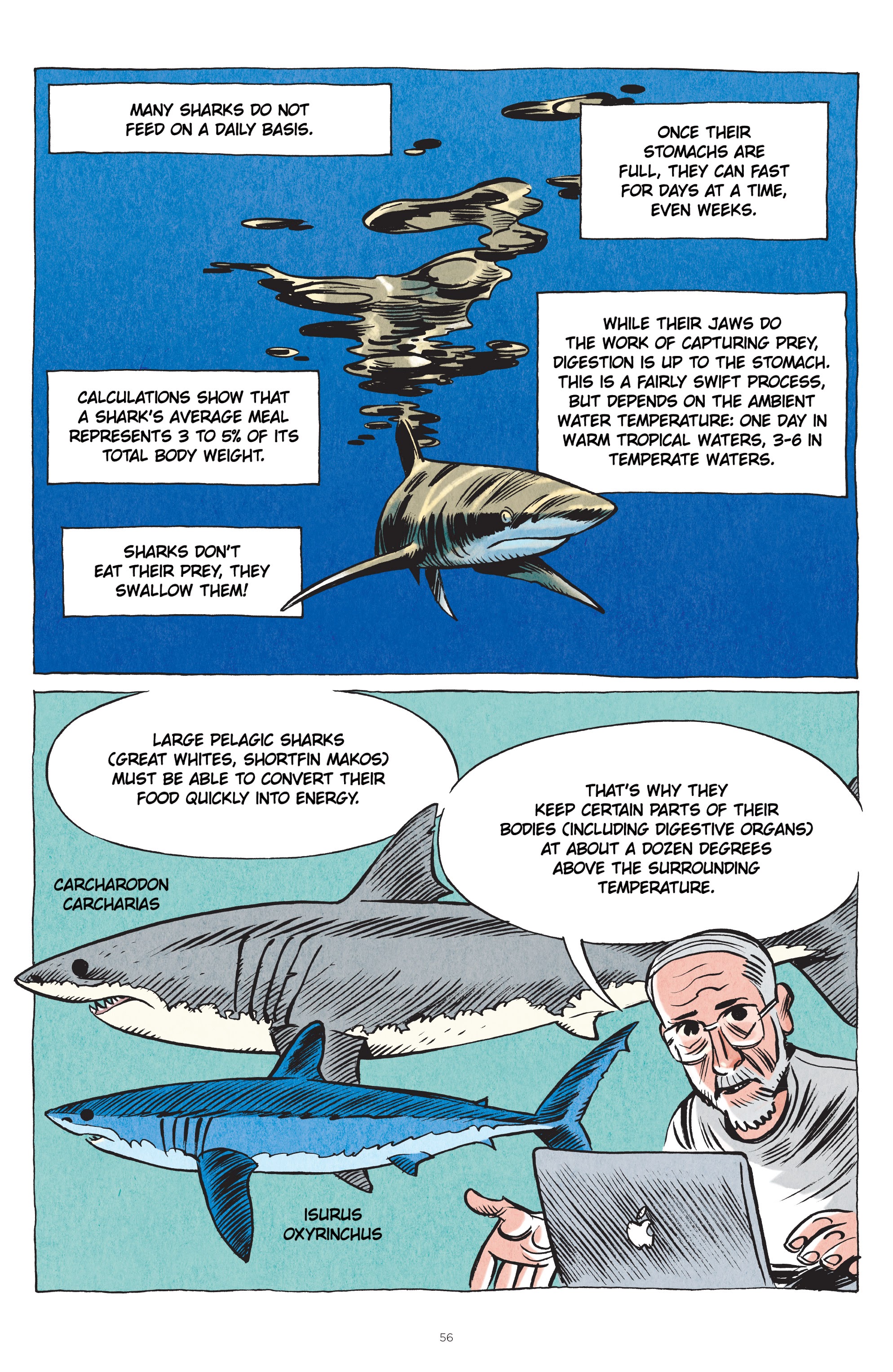 Read online Little Book of Knowledge: Sharks comic -  Issue # TPB - 56