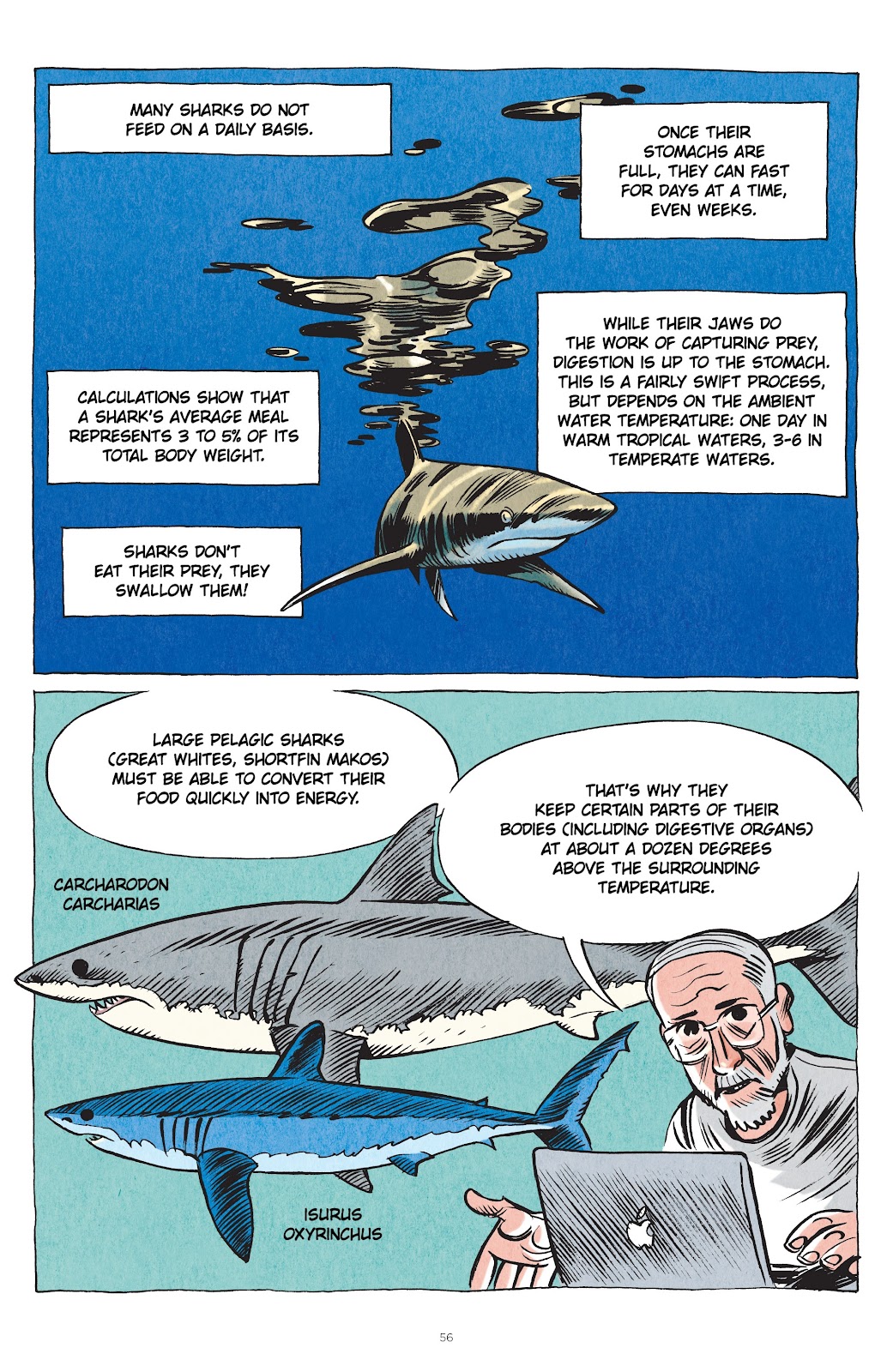 Little Book of Knowledge: Sharks issue TPB - Page 56
