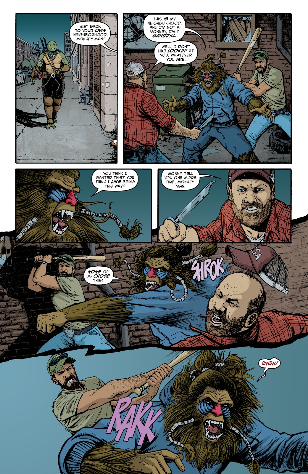 Teenage Mutant Ninja Turtles (2011) issue 140 - Page 15