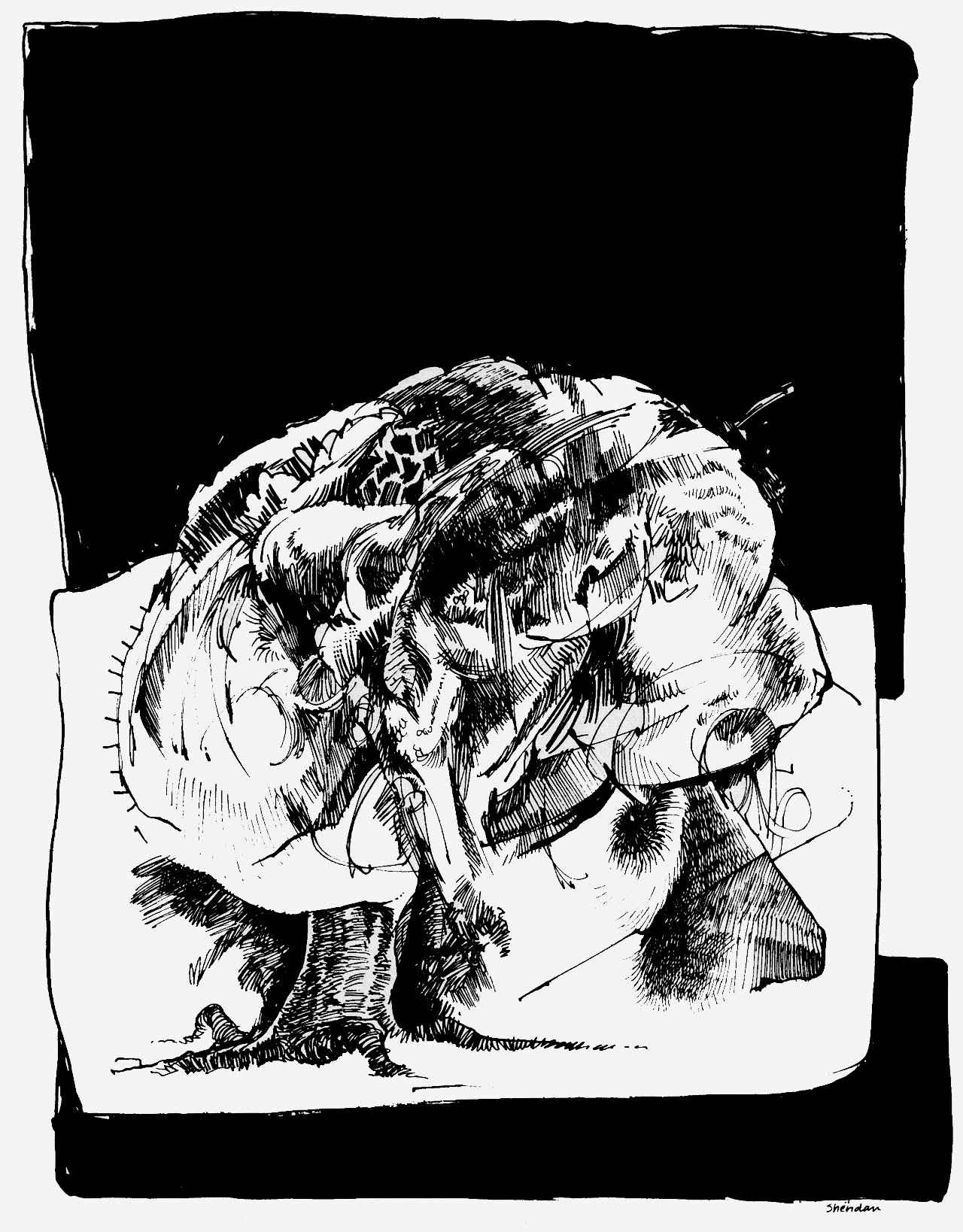 Read online Yellow Dog comic -  Issue #19 - 35