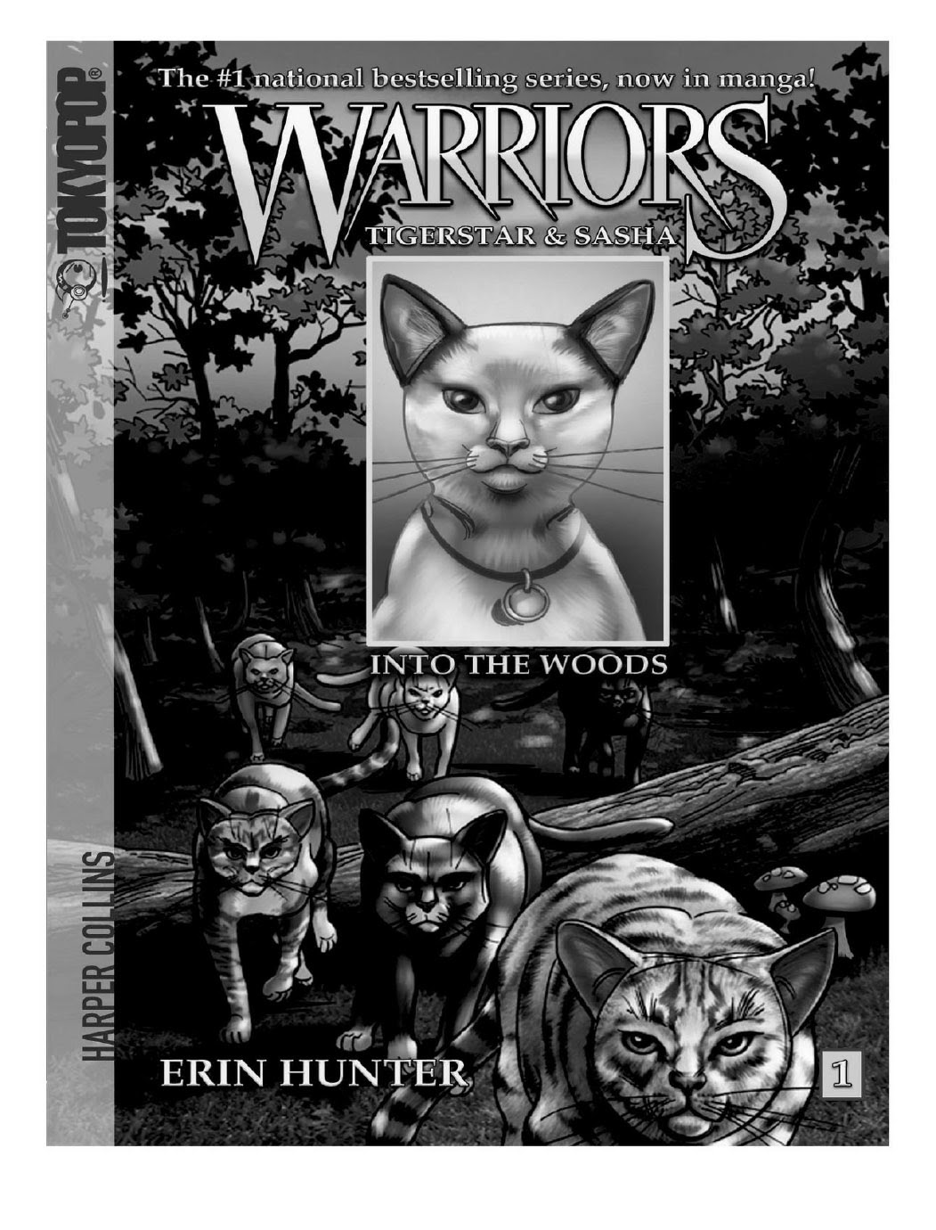 Read online Warriors: The Rise of Scourge comic -  Issue # TPB - 89