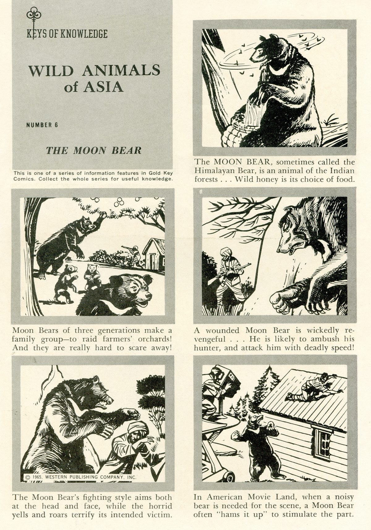 Read online The Phantom (1962) comic -  Issue #12 - 35