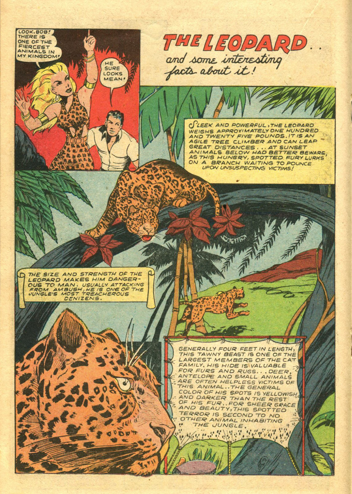 Read online Jumbo Comics comic -  Issue #132 - 26