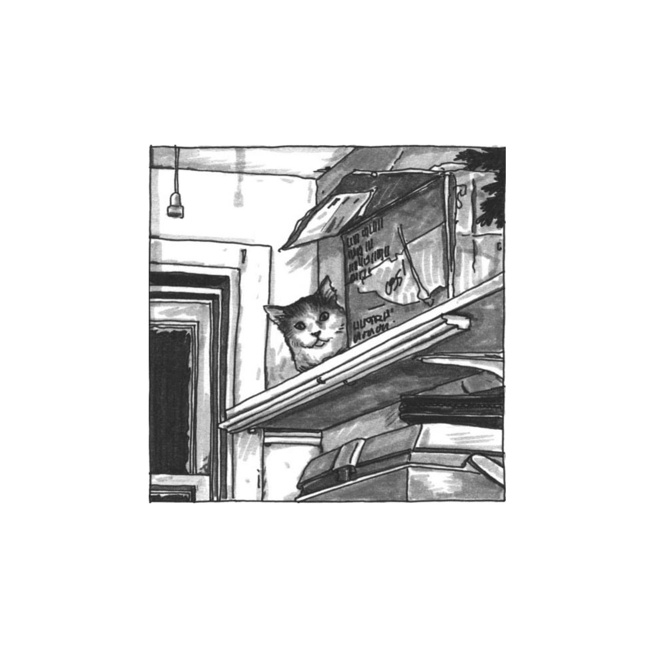 Read online Cats are Weird and More Observations comic -  Issue # TPB - 81