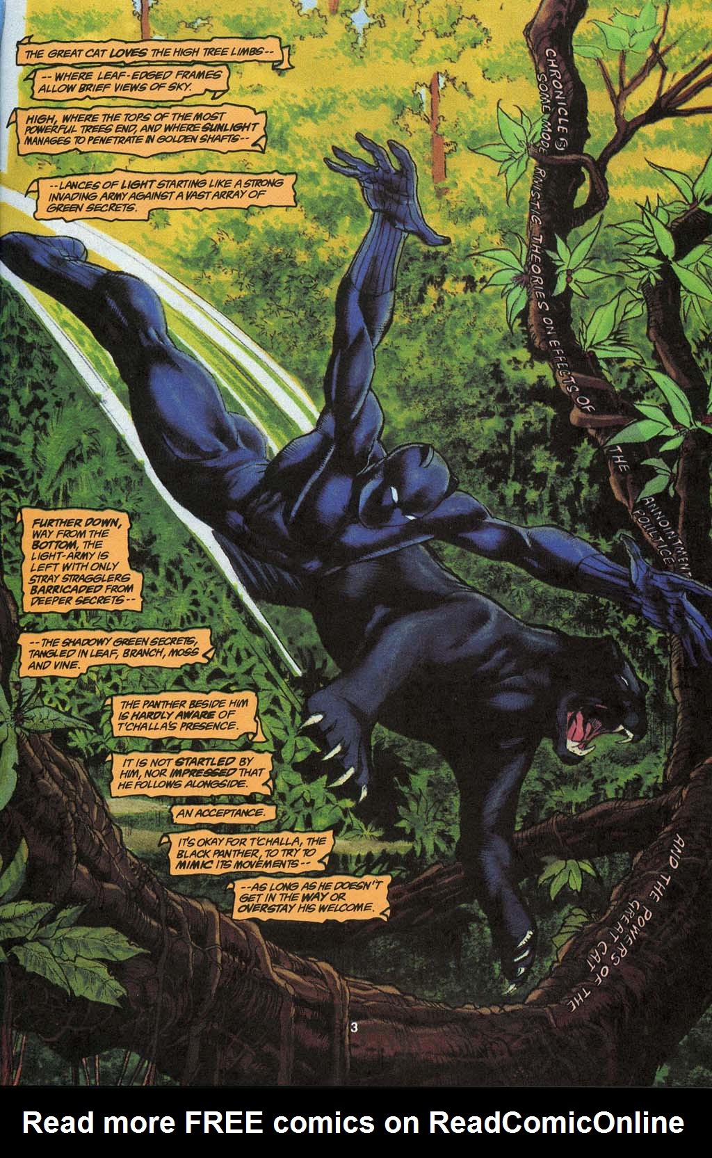 Read online Black Panther: Panther's Prey comic -  Issue #3 - 5