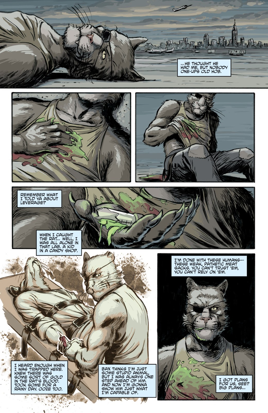 Teenage Mutant Ninja Turtles Villains Microseries issue 3 - Page 23