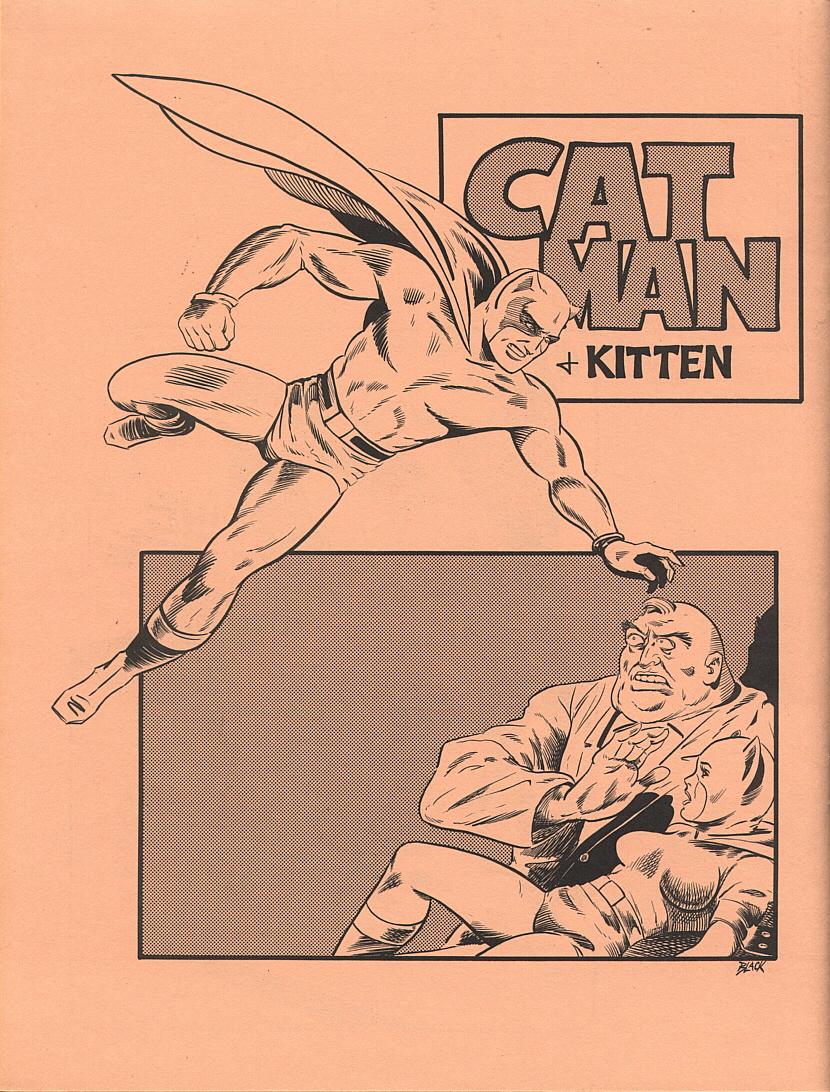 Read online Paragon Golden Age Greats comic -  Issue # Full - 38